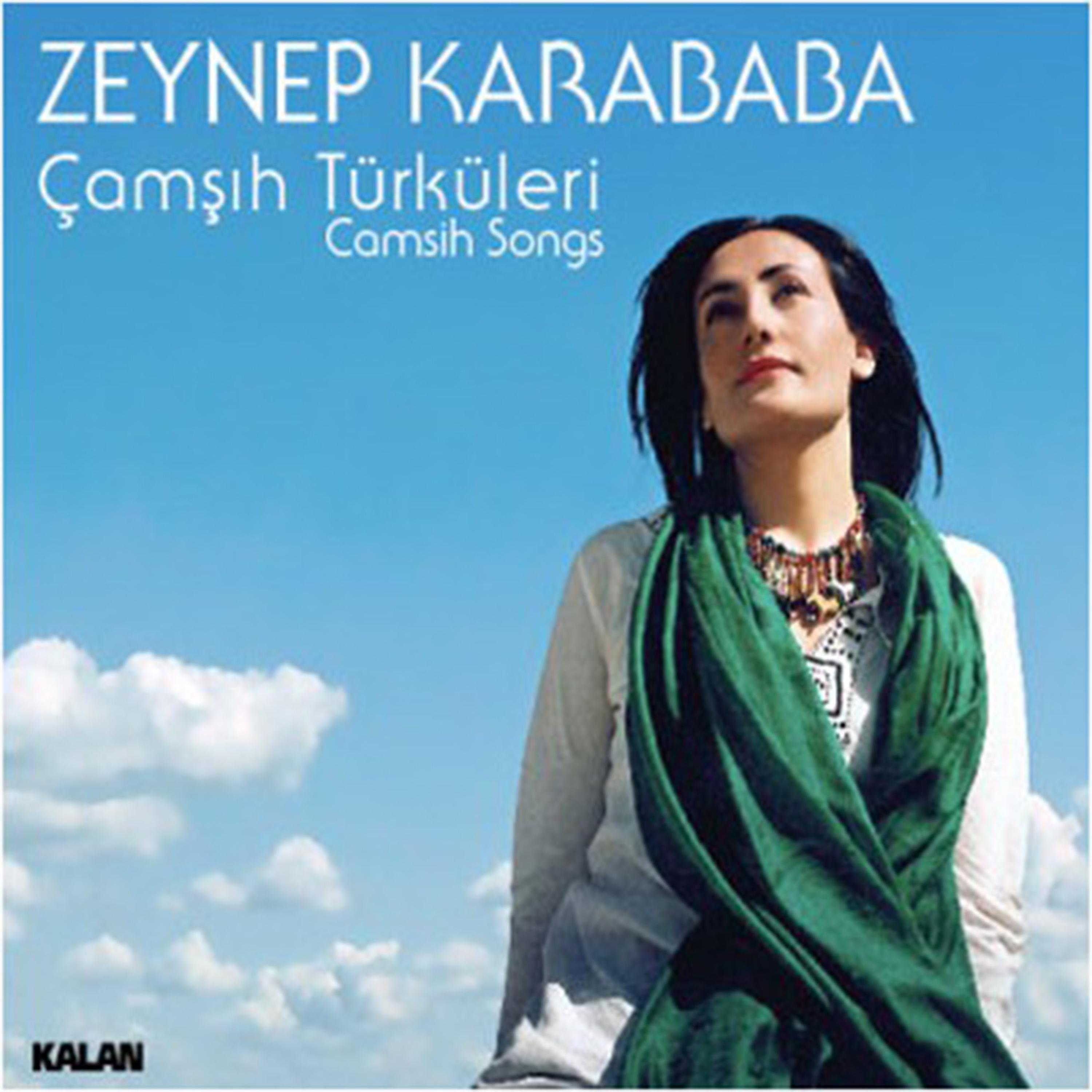 Постер альбома Çamşıh Türküleri