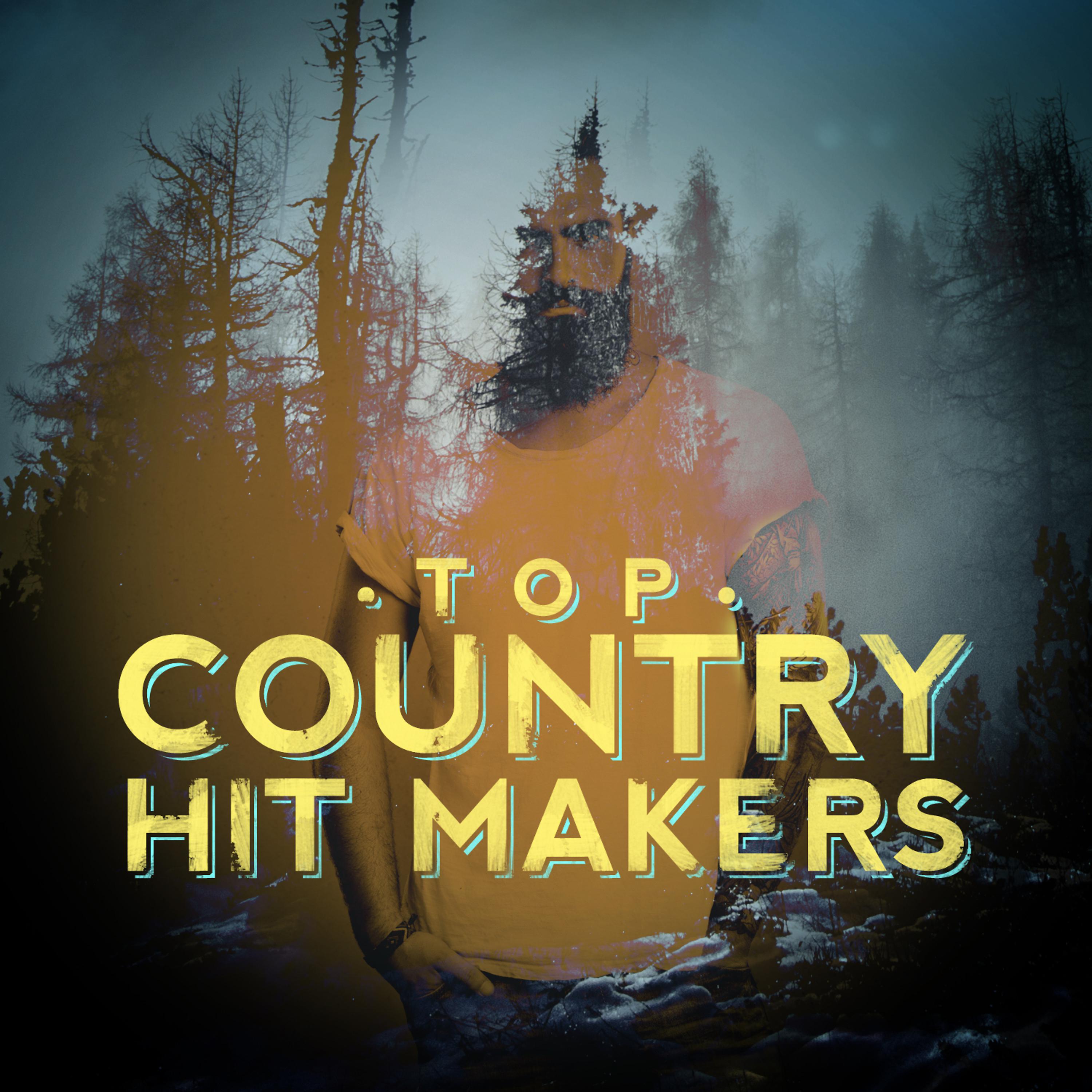 Постер альбома Top Country Hit Makers