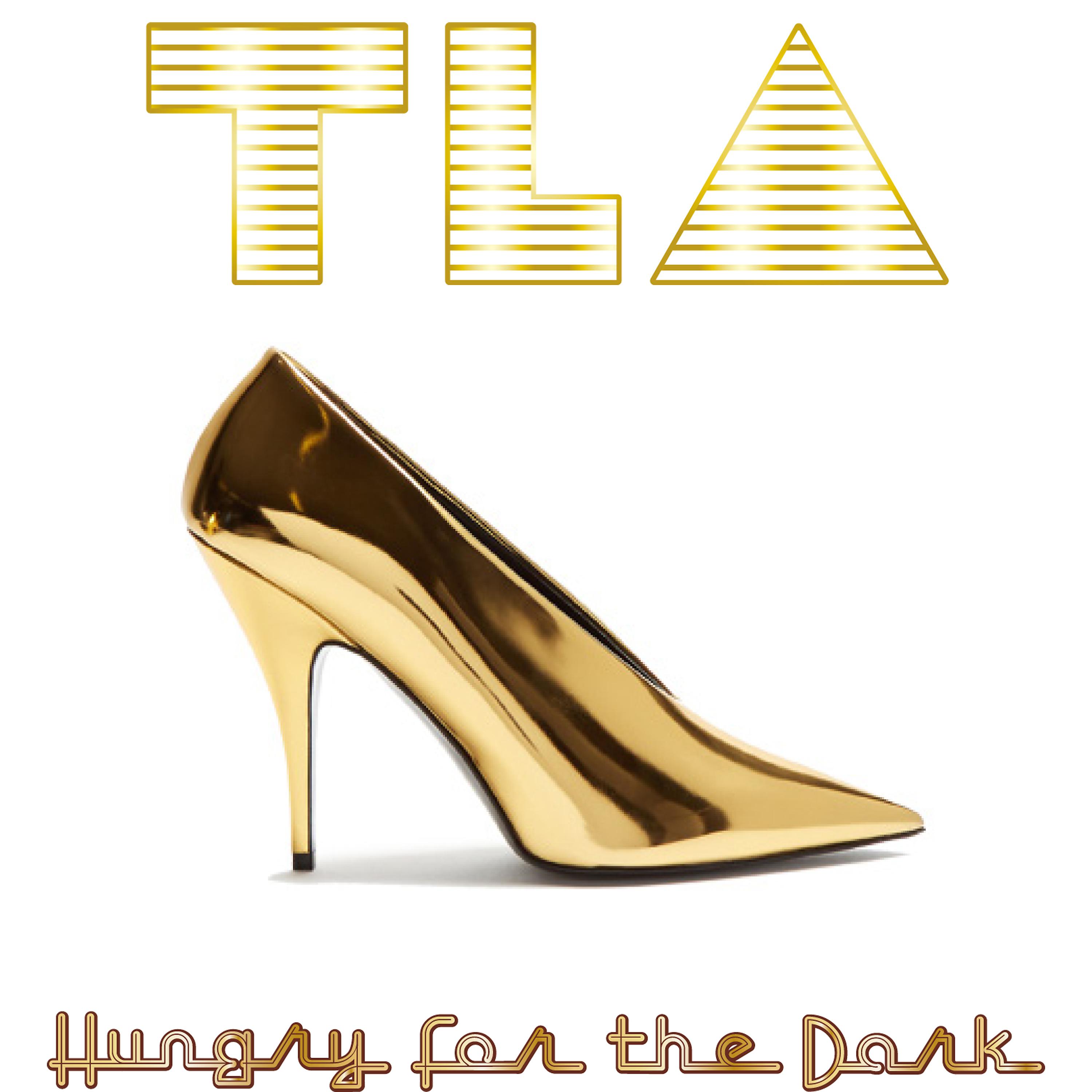 Постер альбома Hungry for the Dark