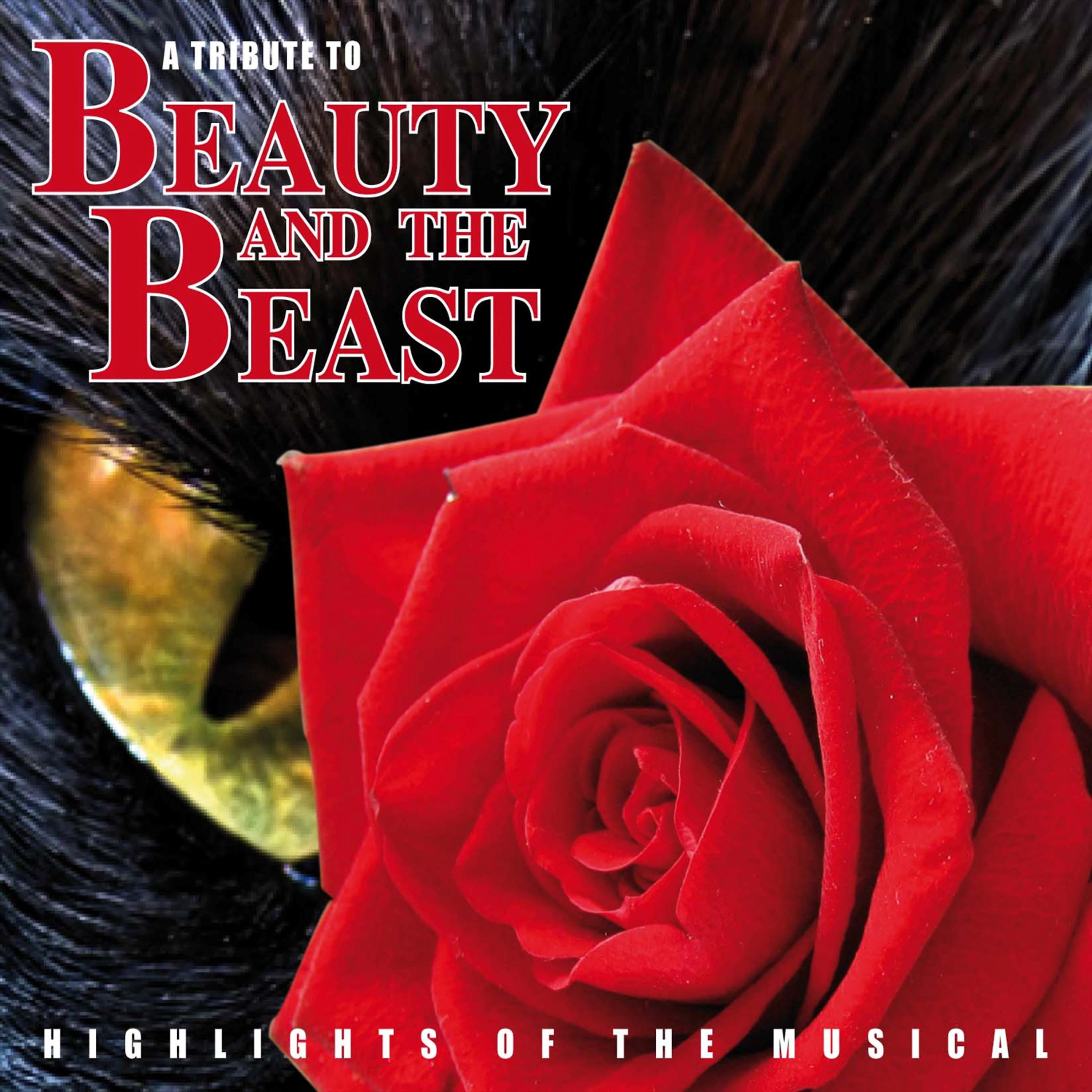 Постер альбома A Tribute To Beauty & The Beast