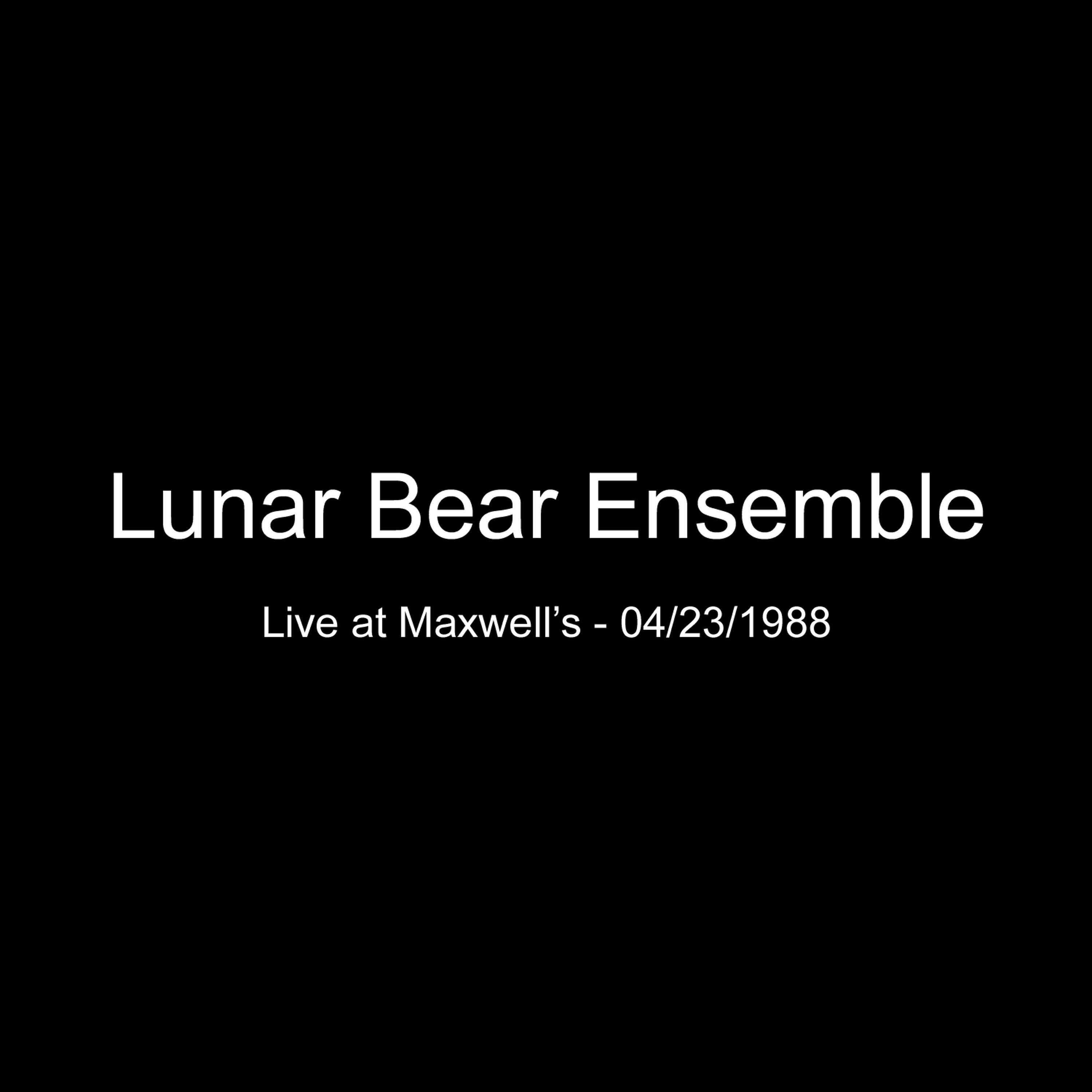 Lunar Bear Ensemble - Bleeding Liberal 04-23-1988