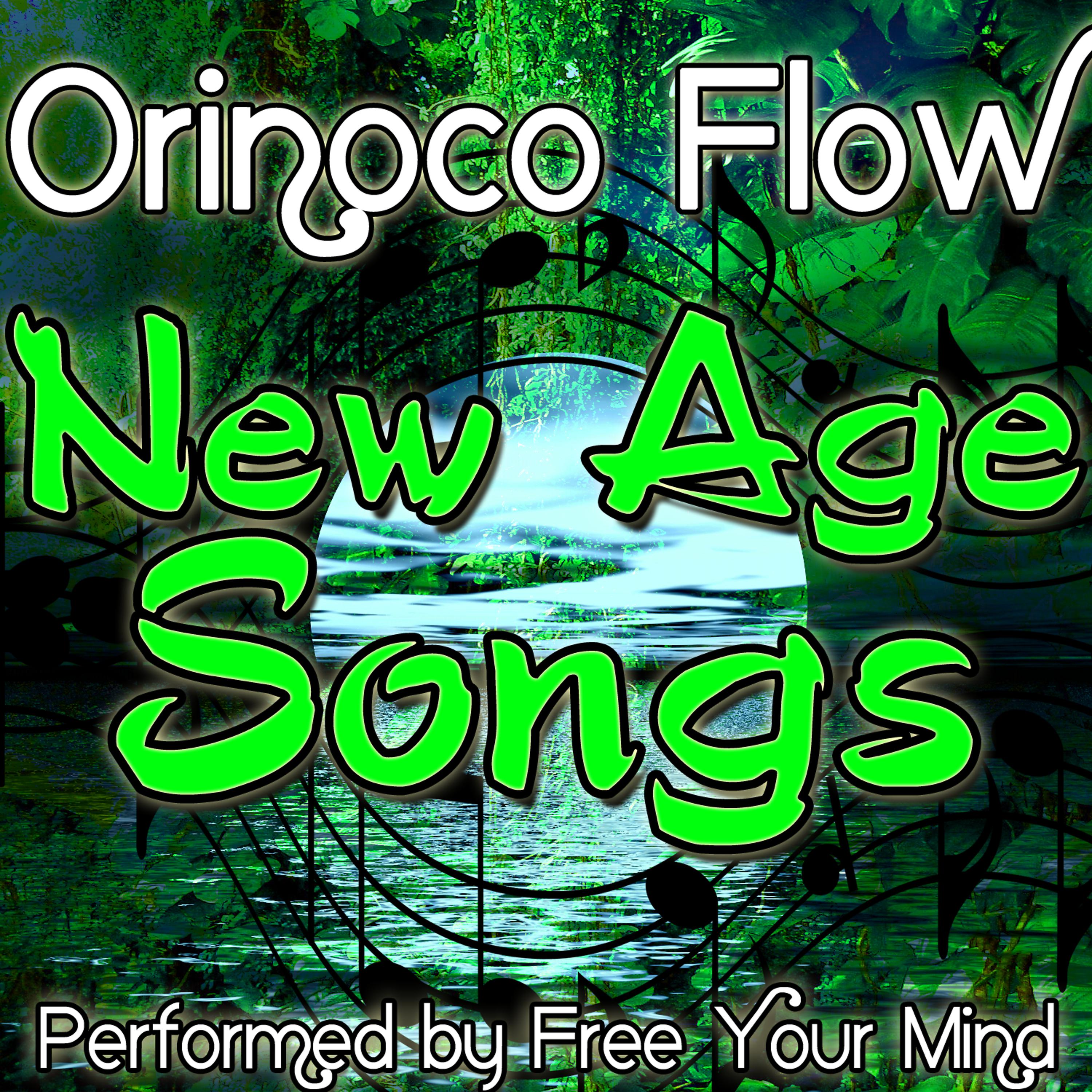 Постер альбома Orinoco Flow: New Age Songs
