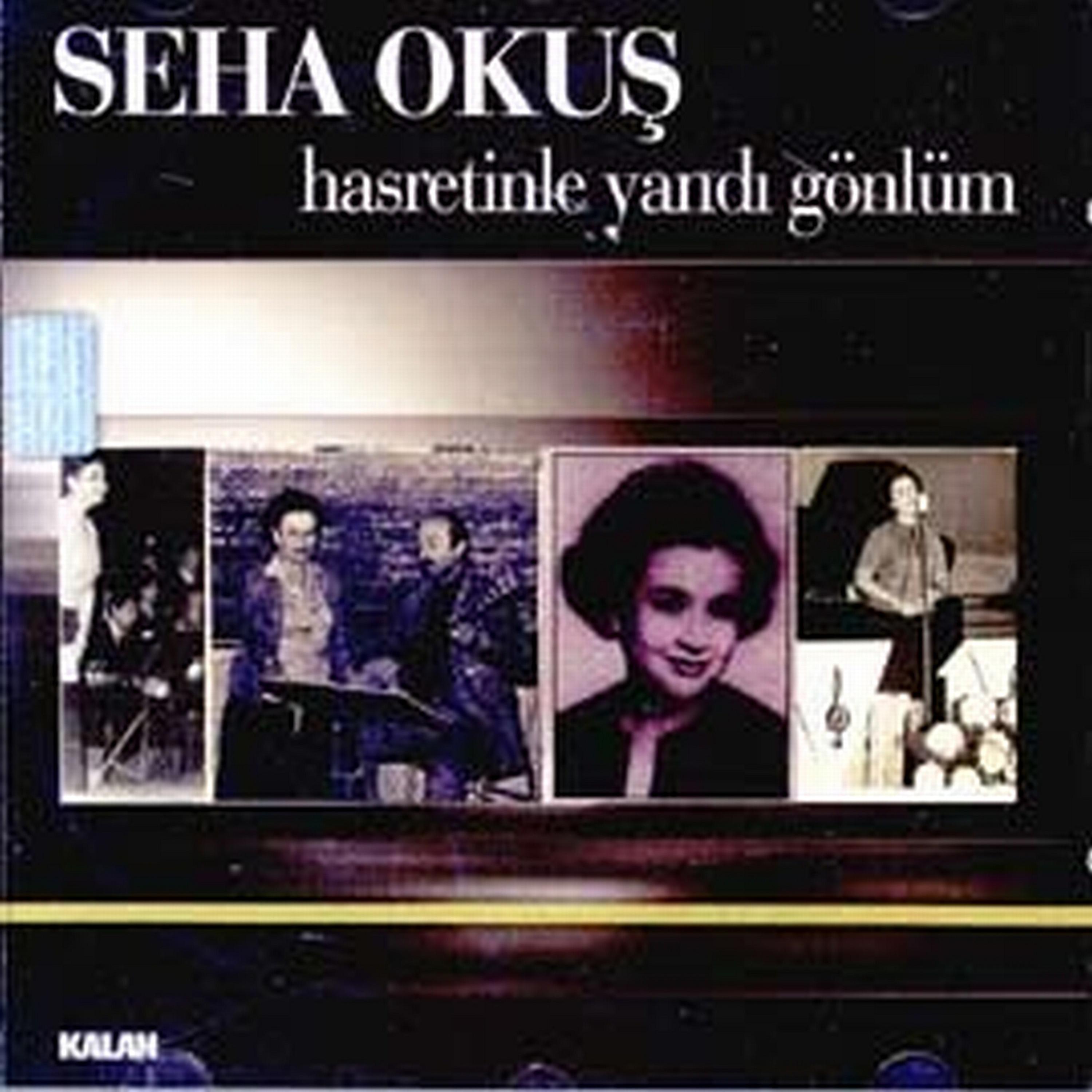 Постер альбома Hasretinle Yandı Gönlüm