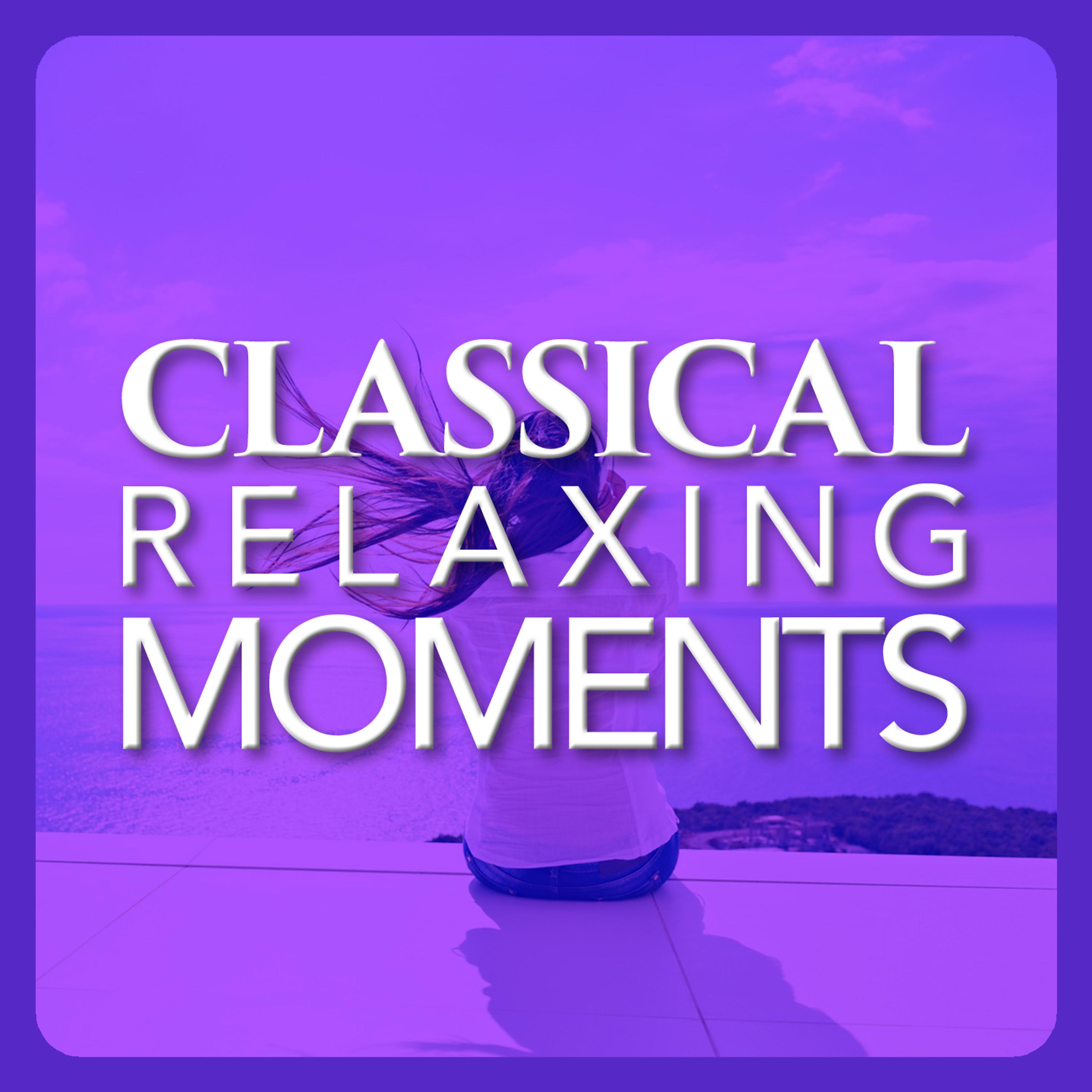 Постер альбома Classical Relaxing Moments