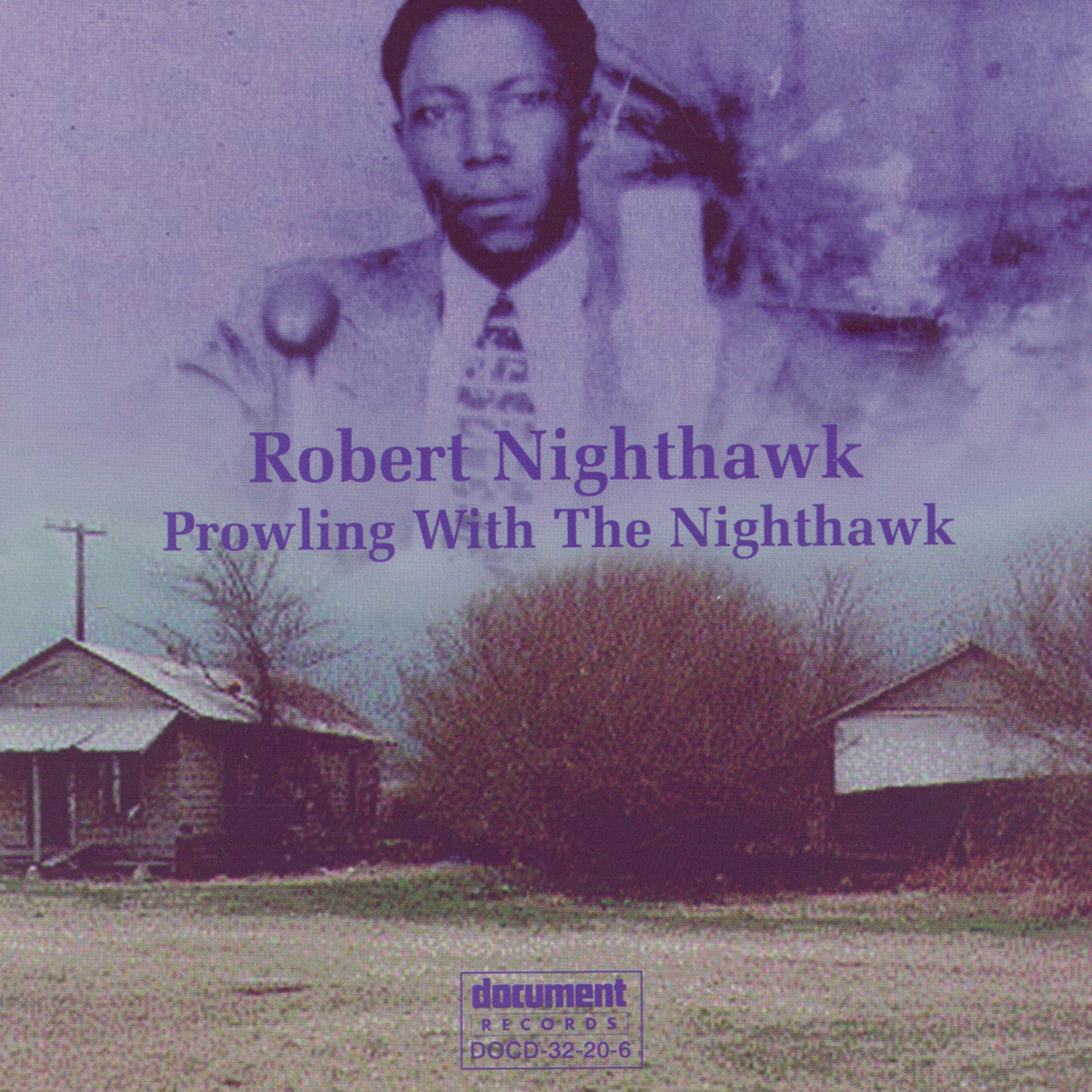Постер альбома Prowling With The Nighthawk
