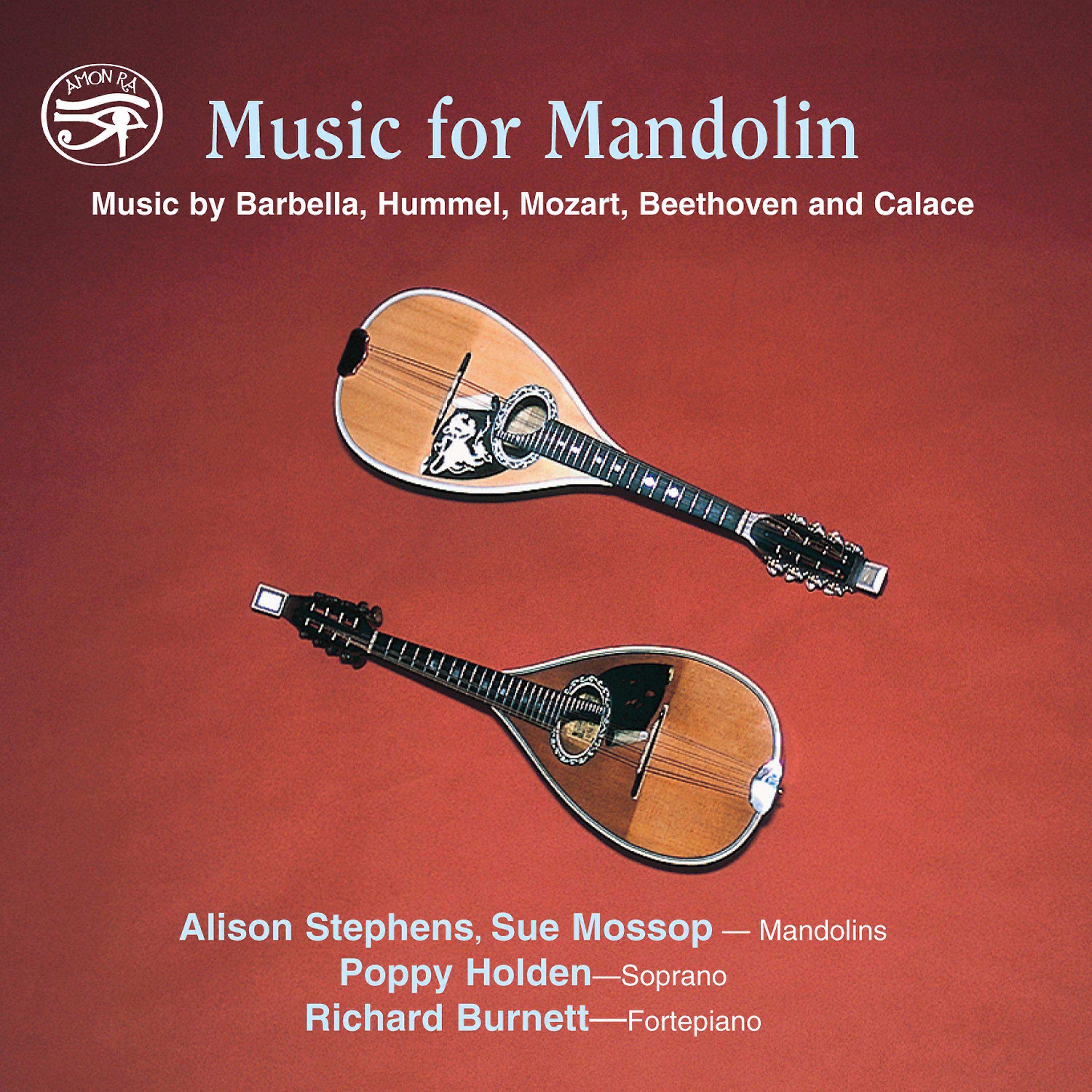 Постер альбома Music for Mandolin