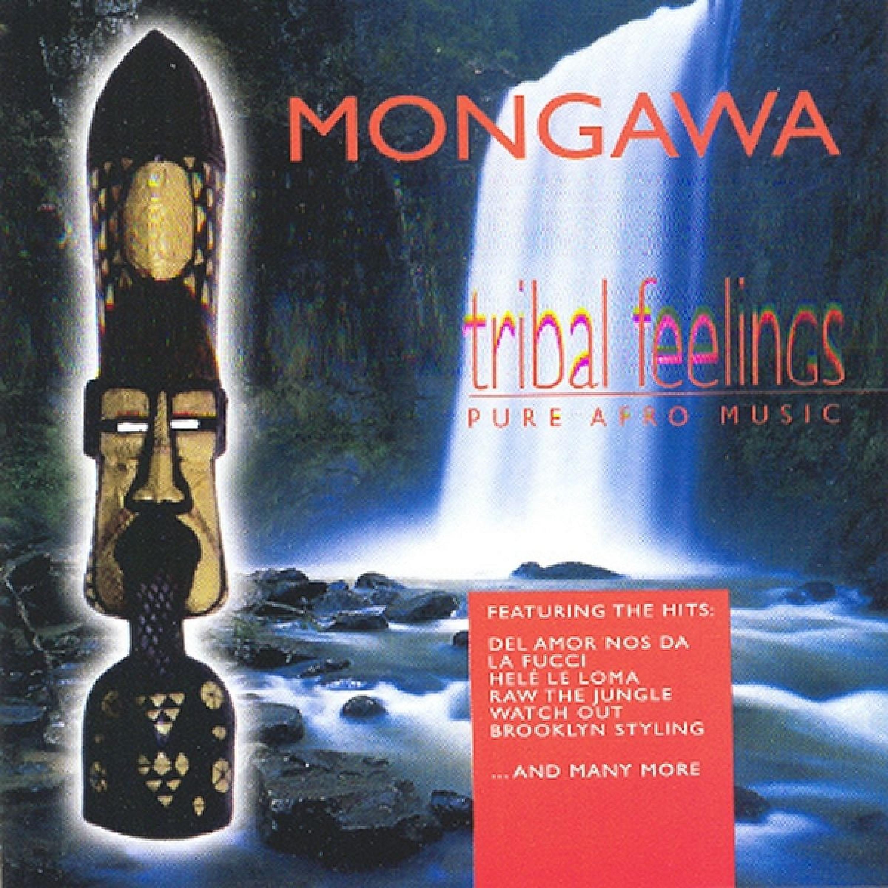 Постер альбома Tribal Feelings