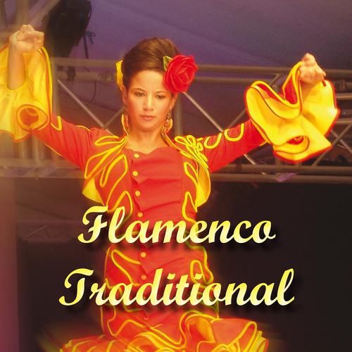 Постер альбома Flamenco Traditional