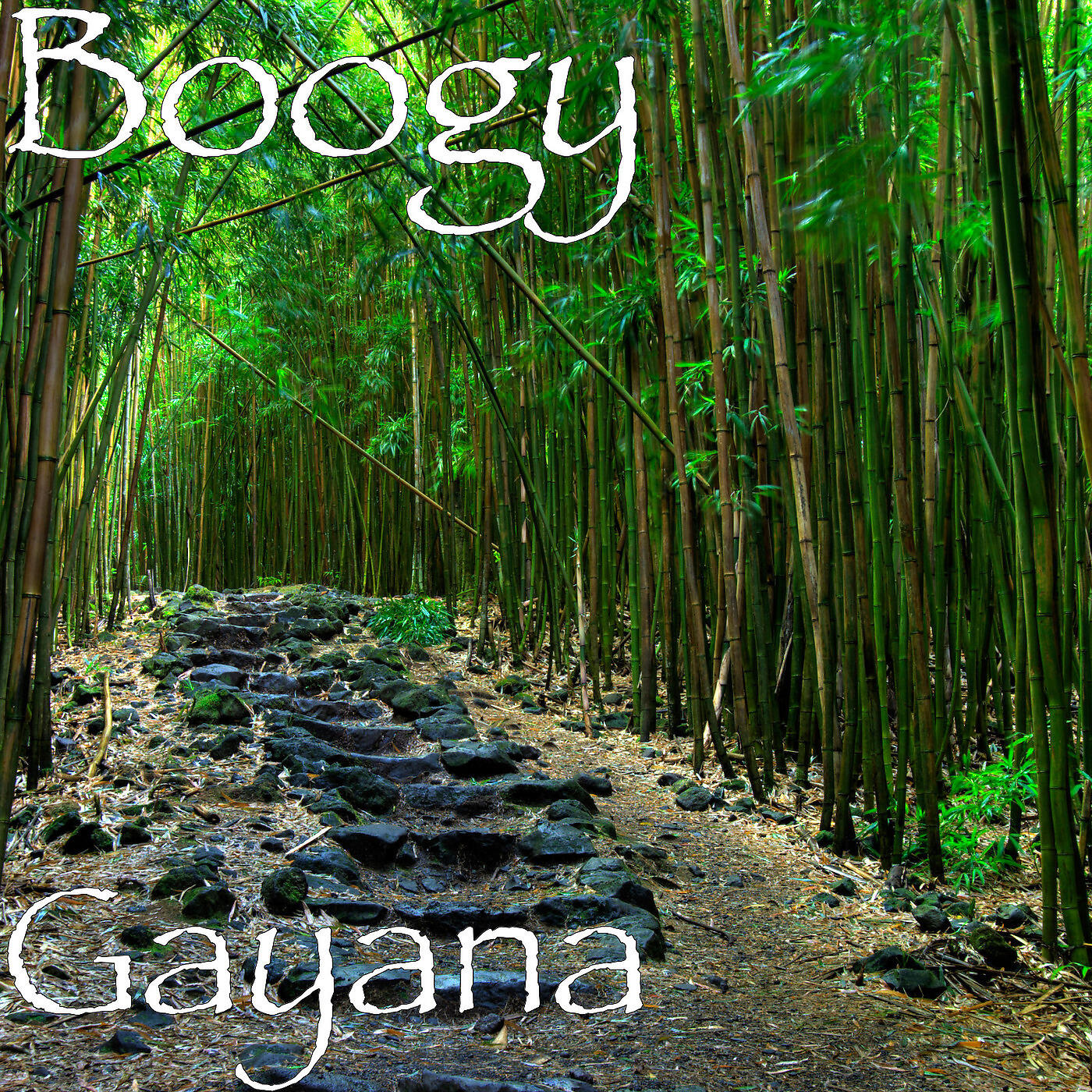 Boogy - Gayana