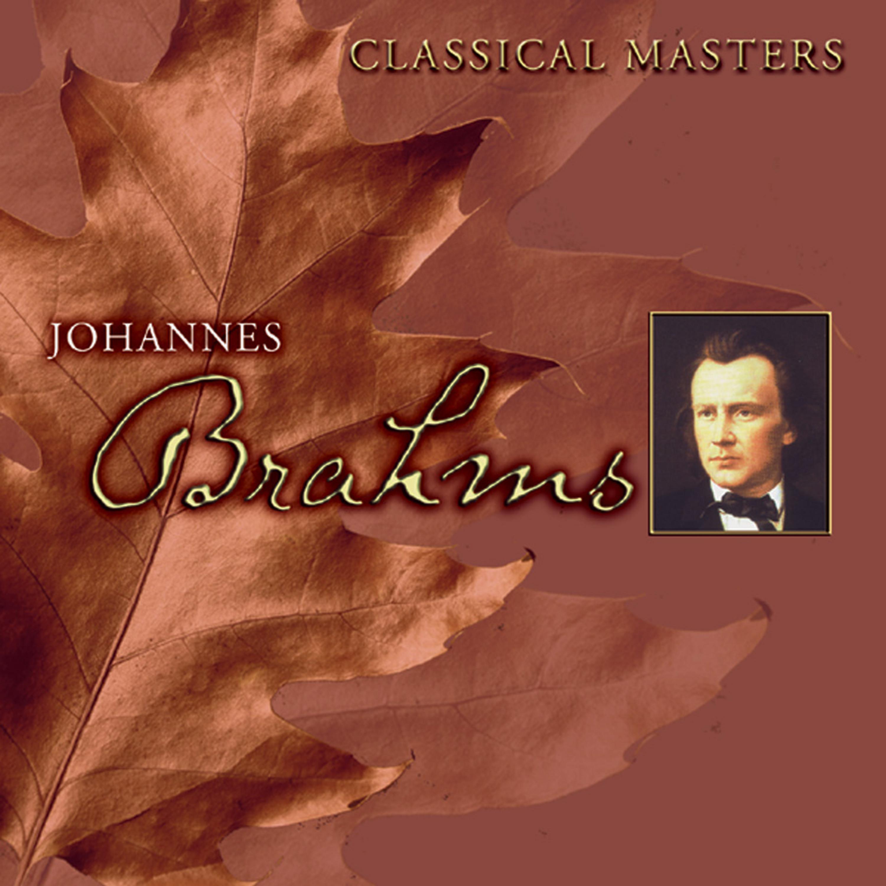 Постер альбома Classical Masters Vol. 8: Johannes Brahms