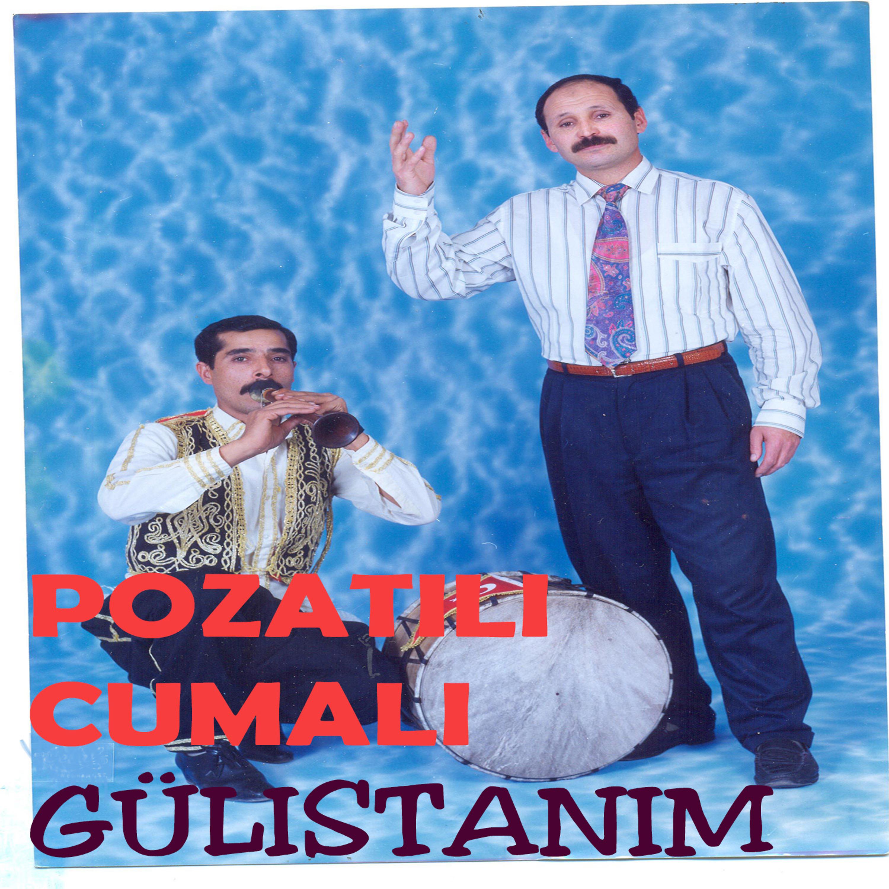 Постер альбома Gülistanım