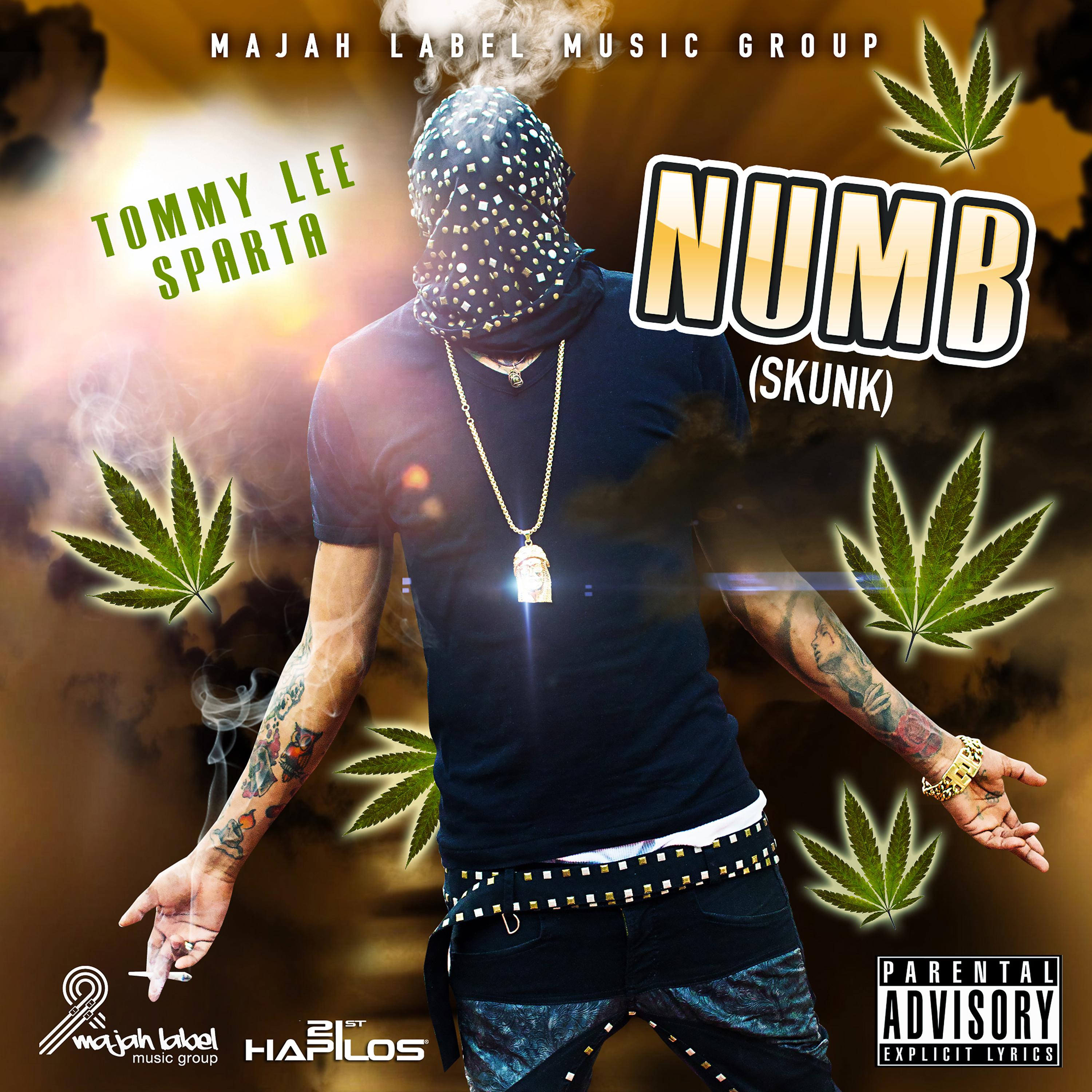Постер альбома Numb (Skunk) - Single