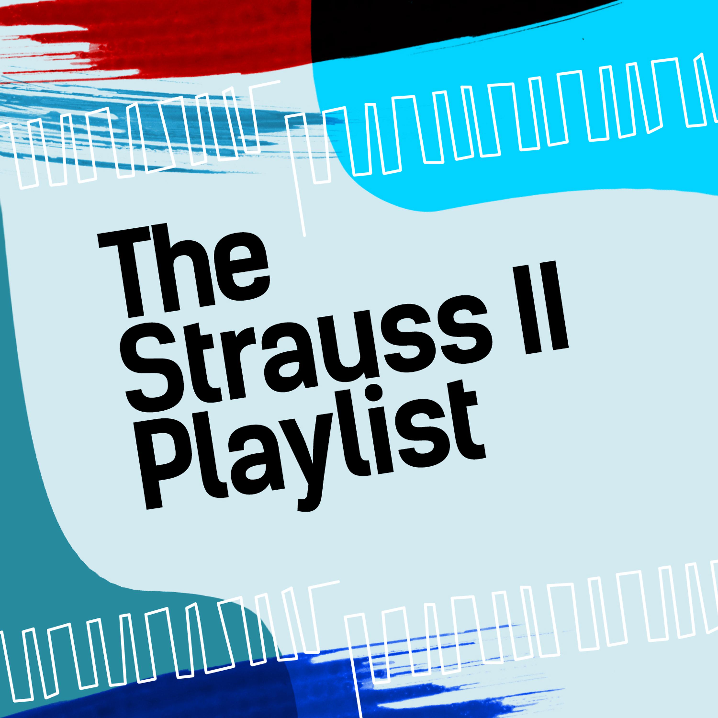 Постер альбома The Strauss II Playlist