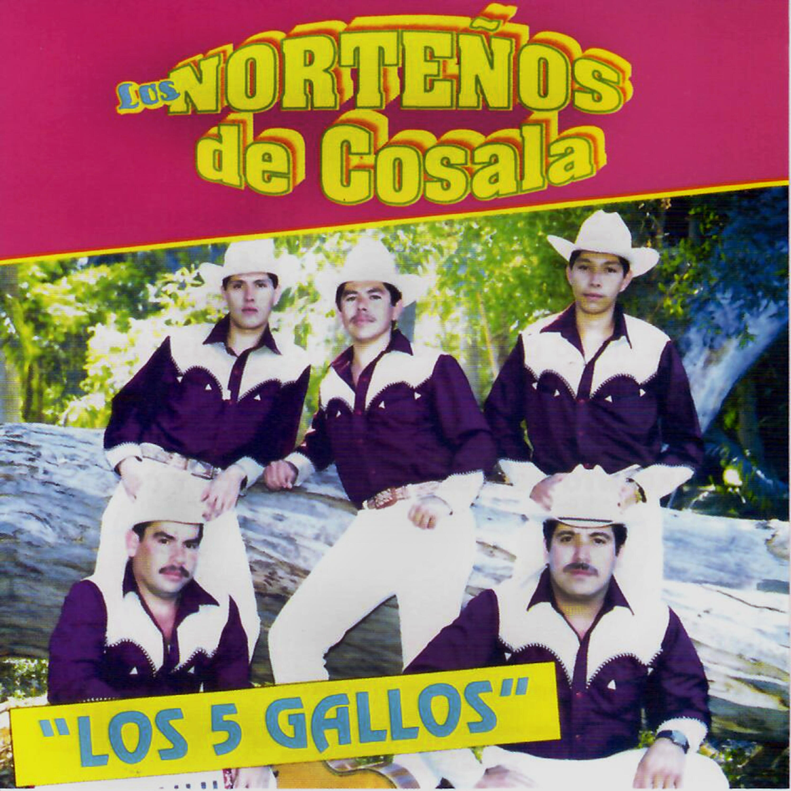 Los Norteños de Cosala - Los 5 Gallos