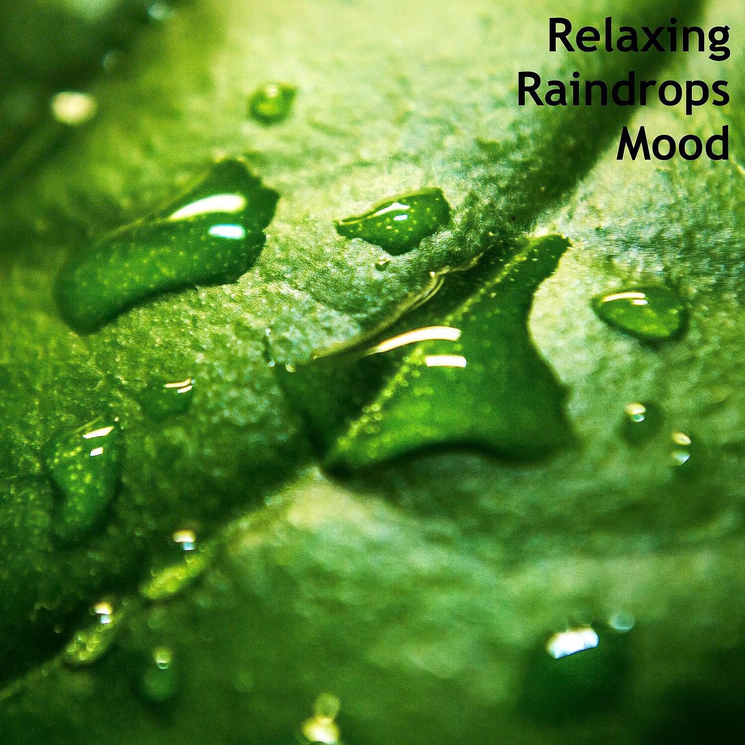 Calm Home Office Rain Sounds - Stunning Rainfall Music
