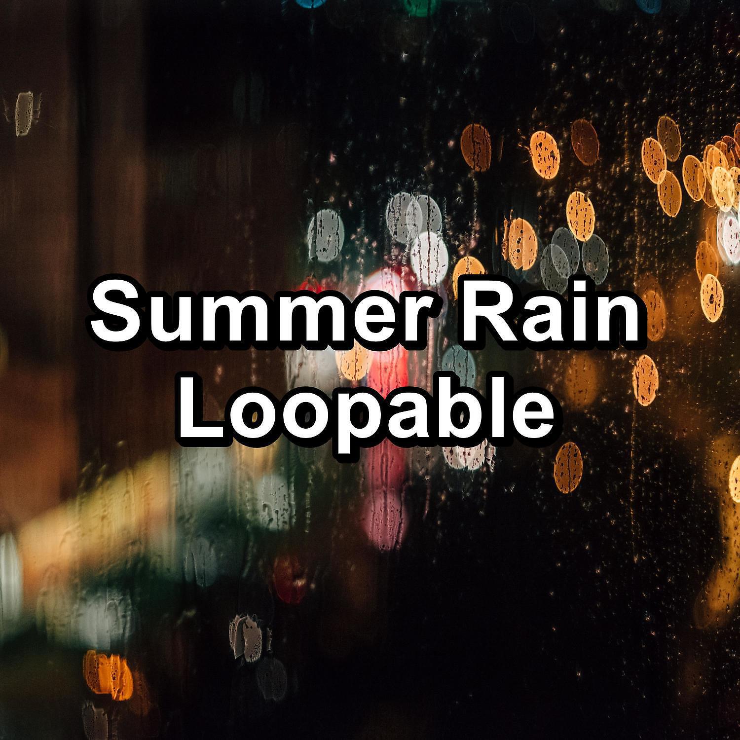 Relax & Relax - Heavy Rain in the Rainy Forest To Repeat for 24 Hours