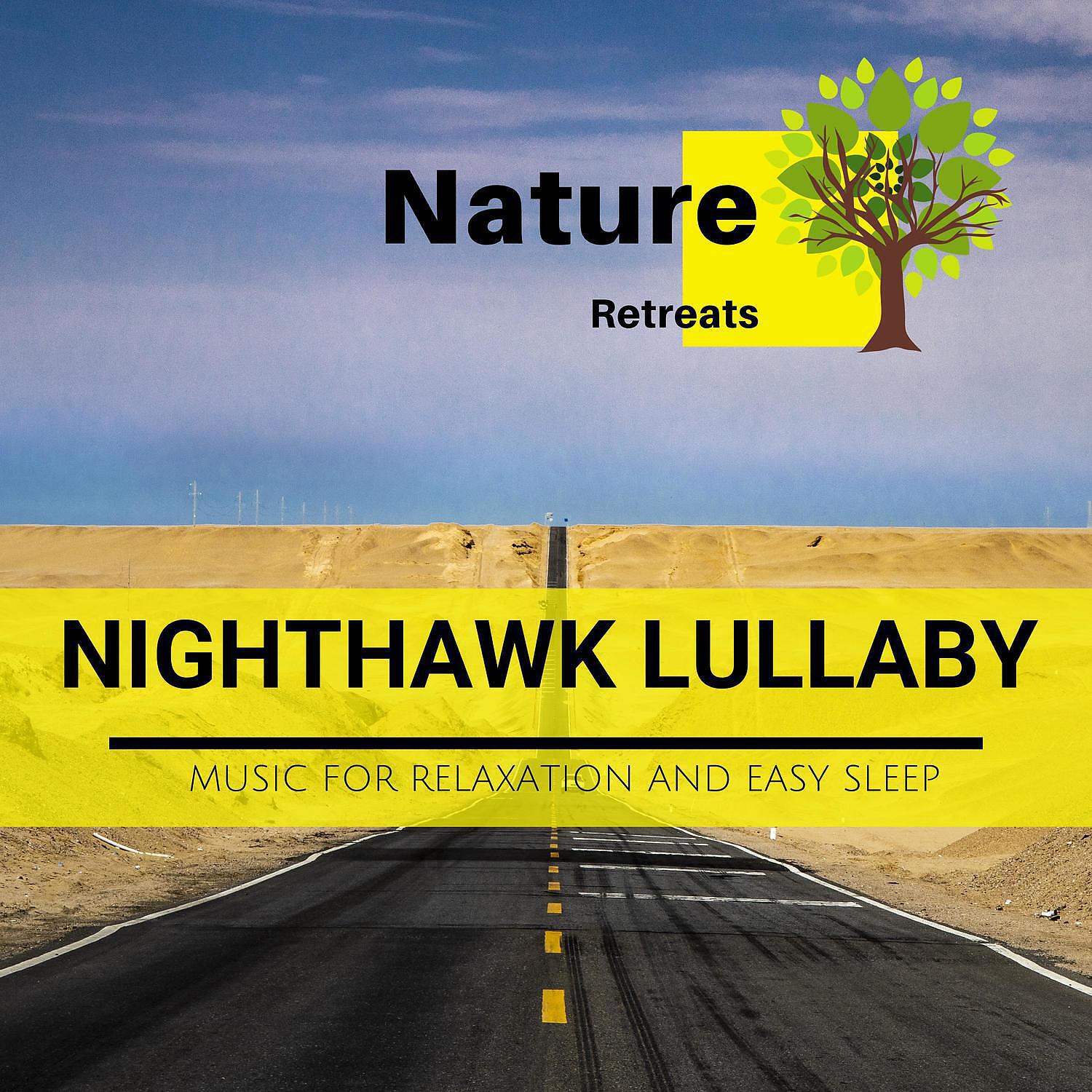 Chakra Healing Music Academy - Birds Of Prey