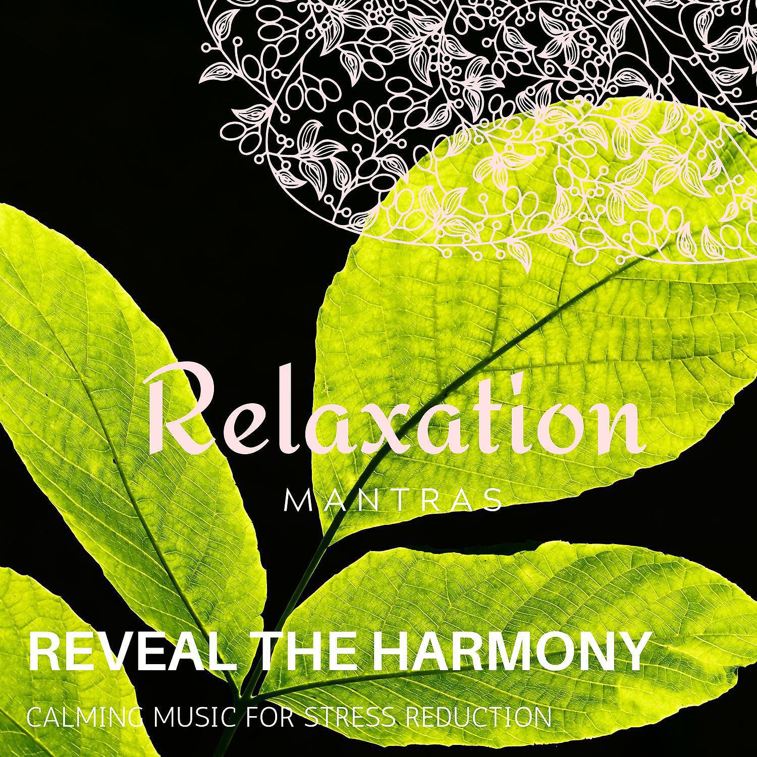 Calm Music - Flowing Waters