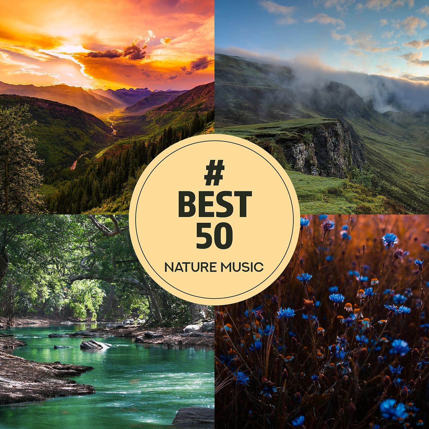 Постер альбома # Best 50: Nature Music, Ambient for Relaxation, Sleep, Meditation & Spa