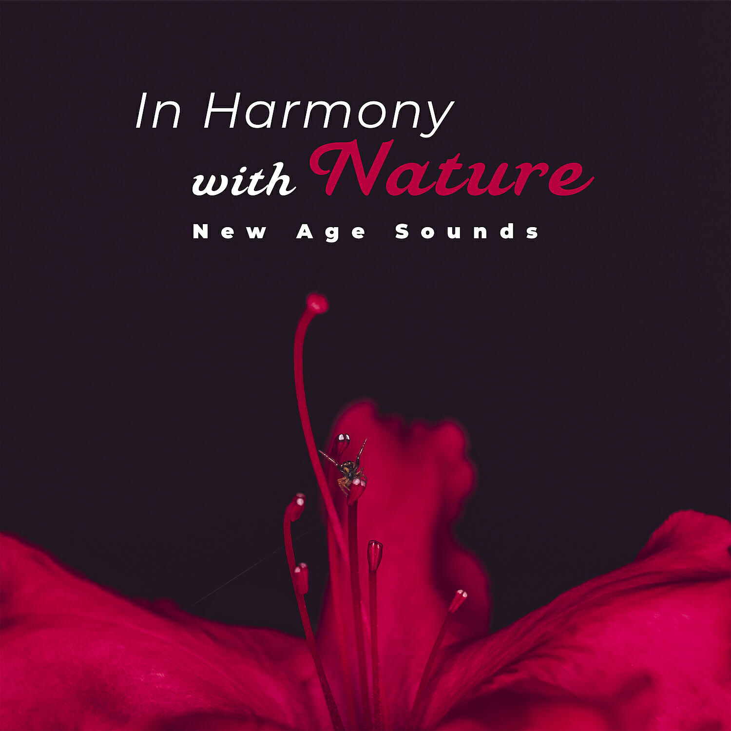 Ausilio - Simple Breathing
