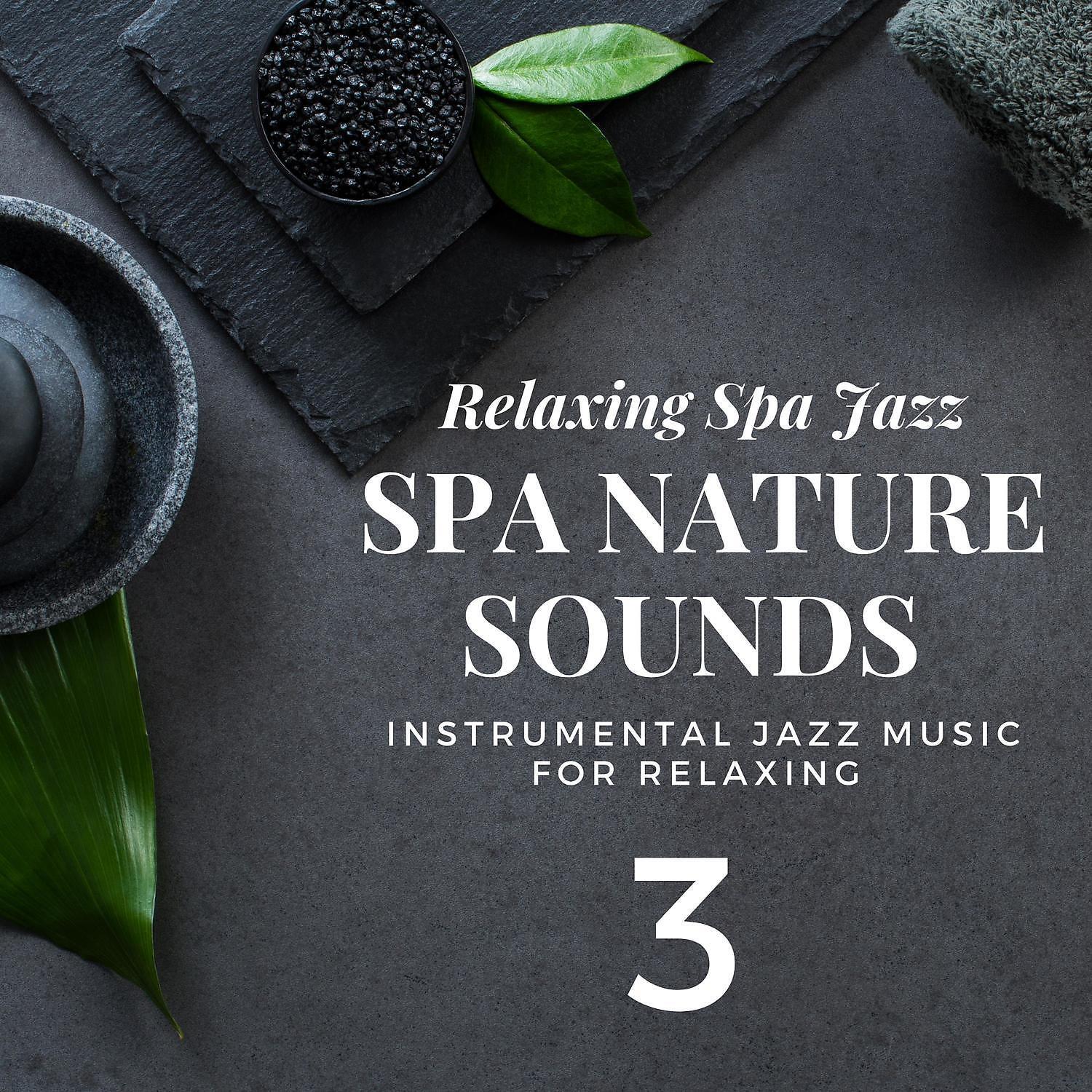 Relaxing Spa Jazz - Nature Sounds - Sounds of Nature (SPA Jazz Music)