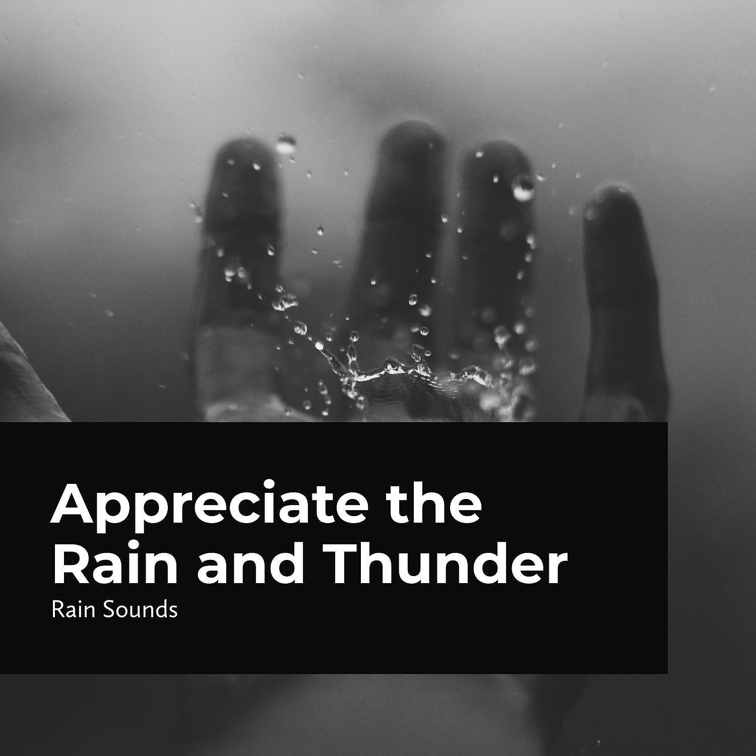 Постер альбома Appreciate the Rain and Thunder