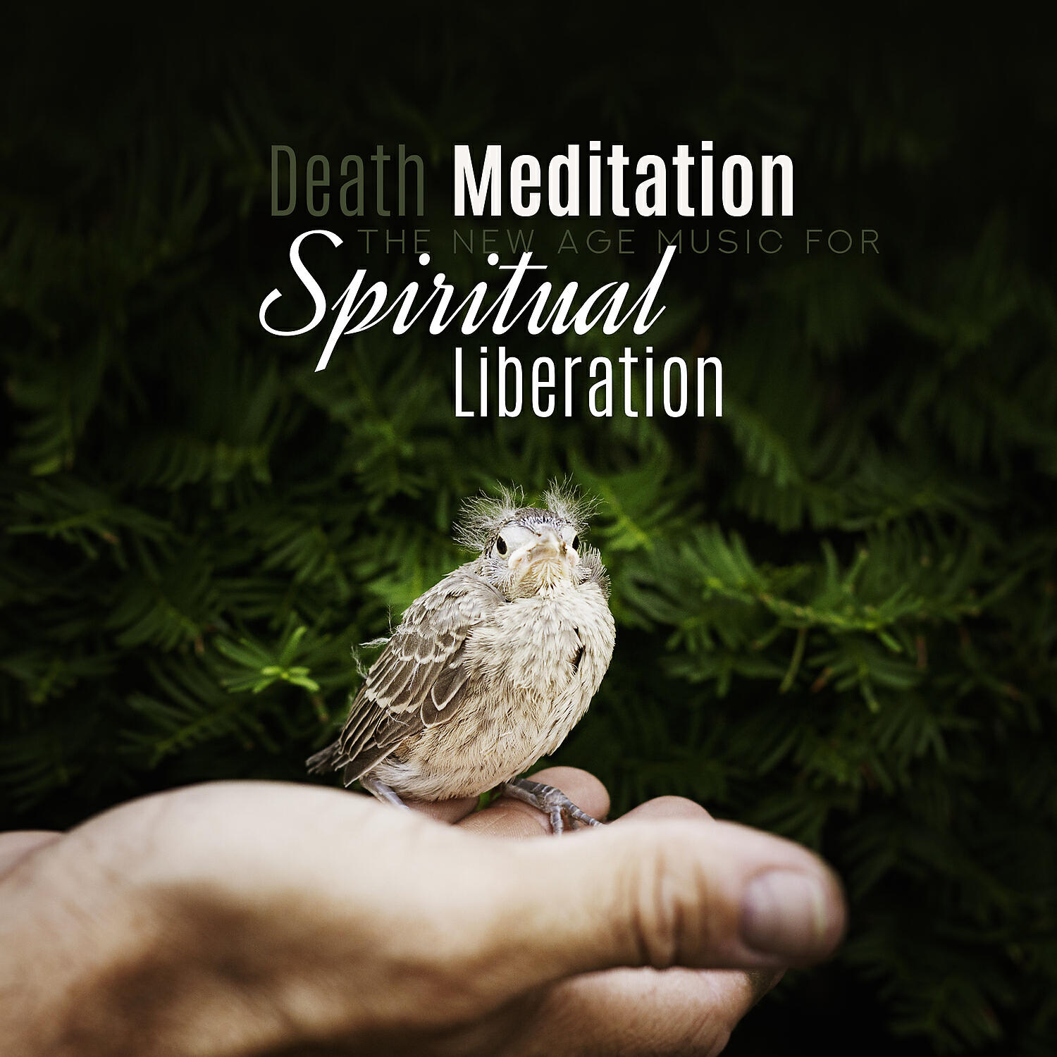 Bible Study Music - Deep Sleep Music Session