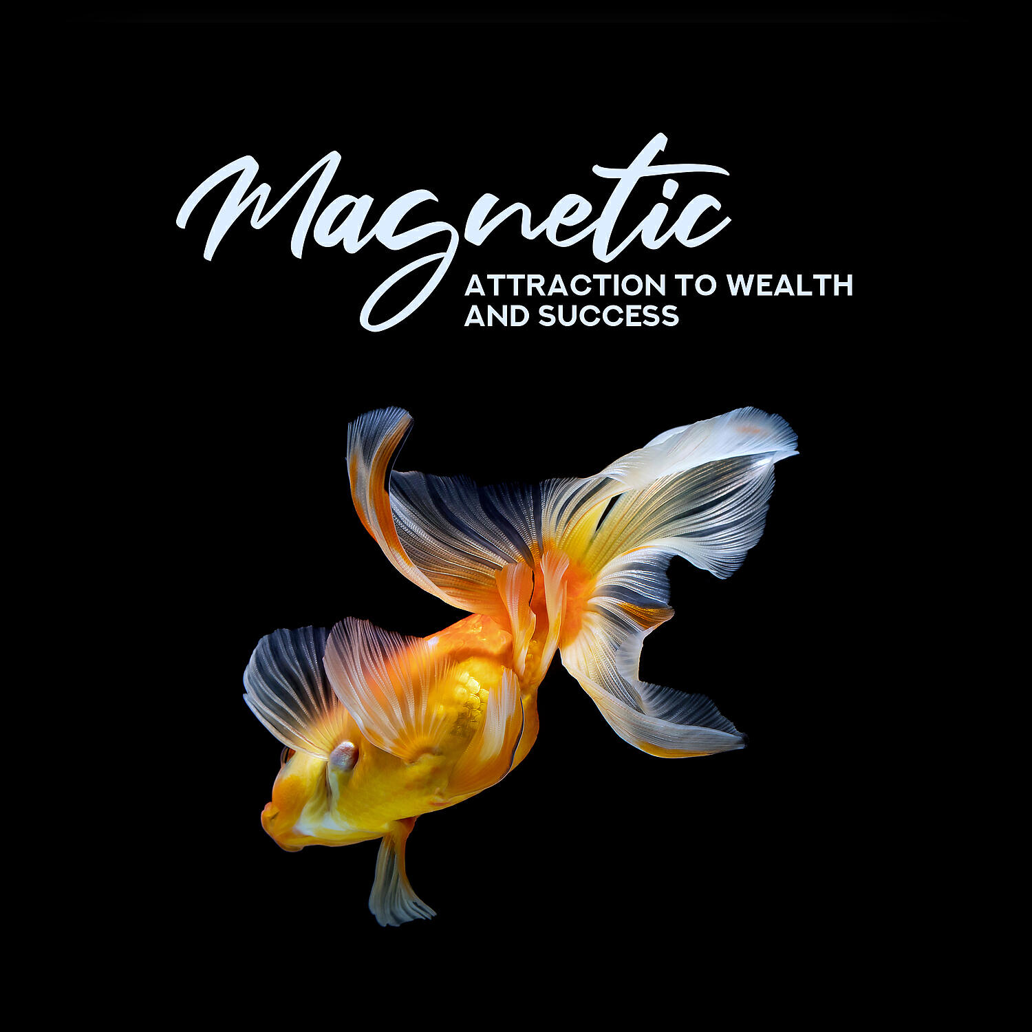 Motivation Songs Academy - Health and Wellbeing
