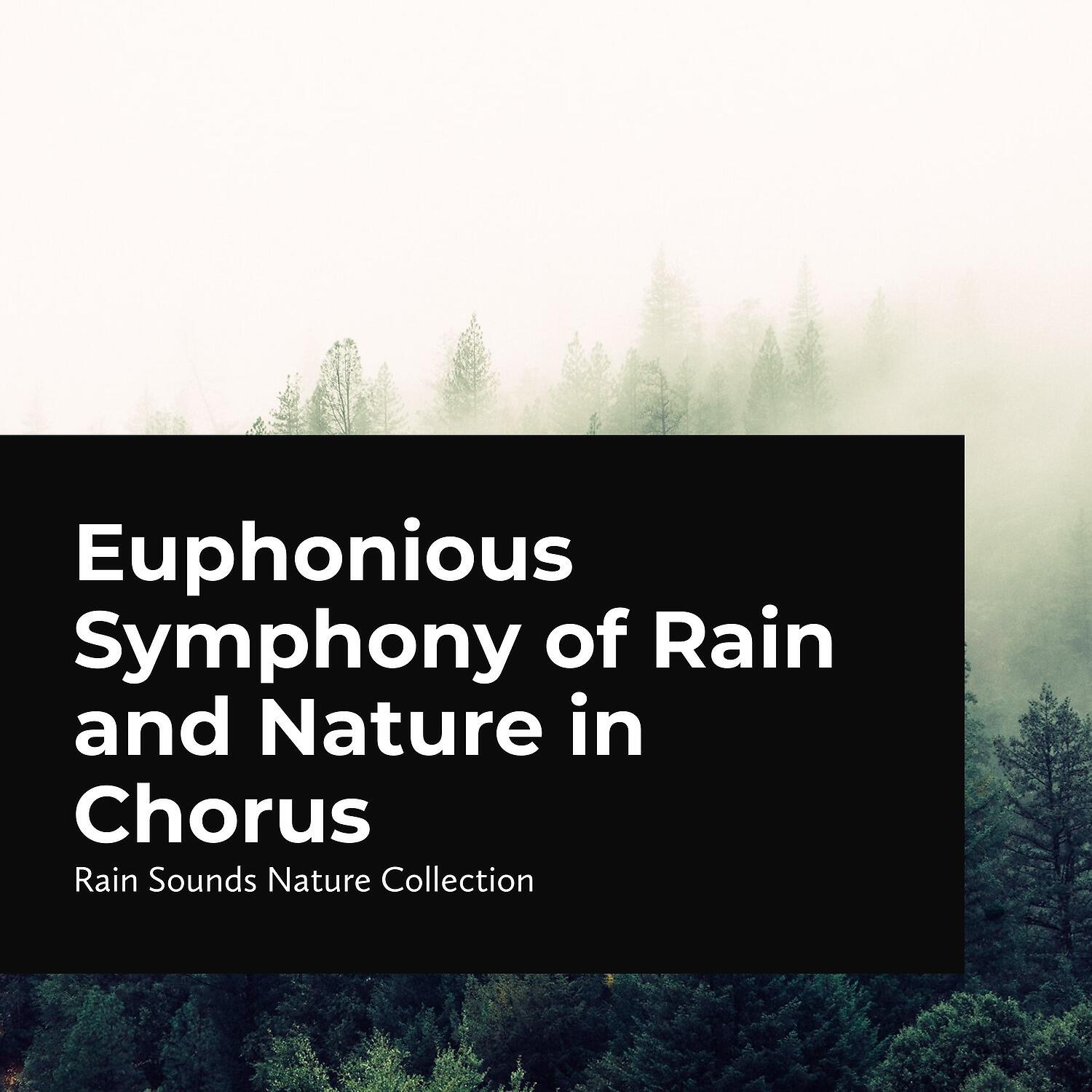 Rain Sounds Nature Collection - Cold Shallow River