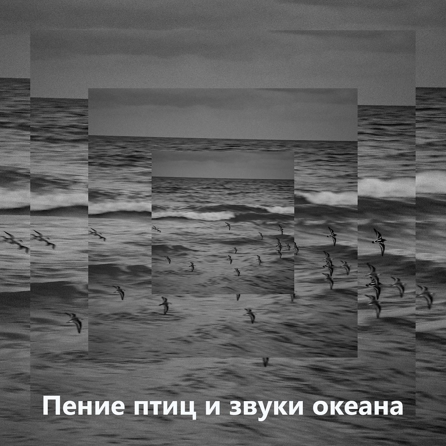 Постер альбома Пение птиц и звуки океана - Pасслабляющие звуки природы с инструментальной музыкой на фортепиано, расслабляющая медитация, внимательность, колыбельные для сна