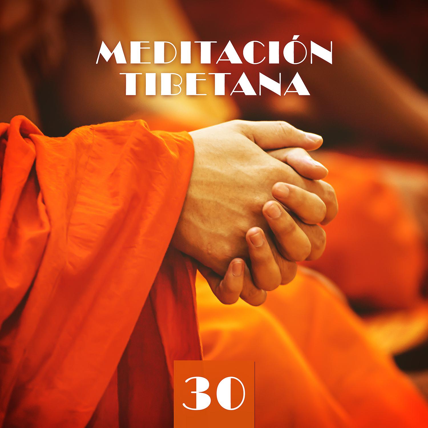 Постер альбома Meditación Tibetana: 30 Tonos Curativos para Mente, Cuerpo y Alma