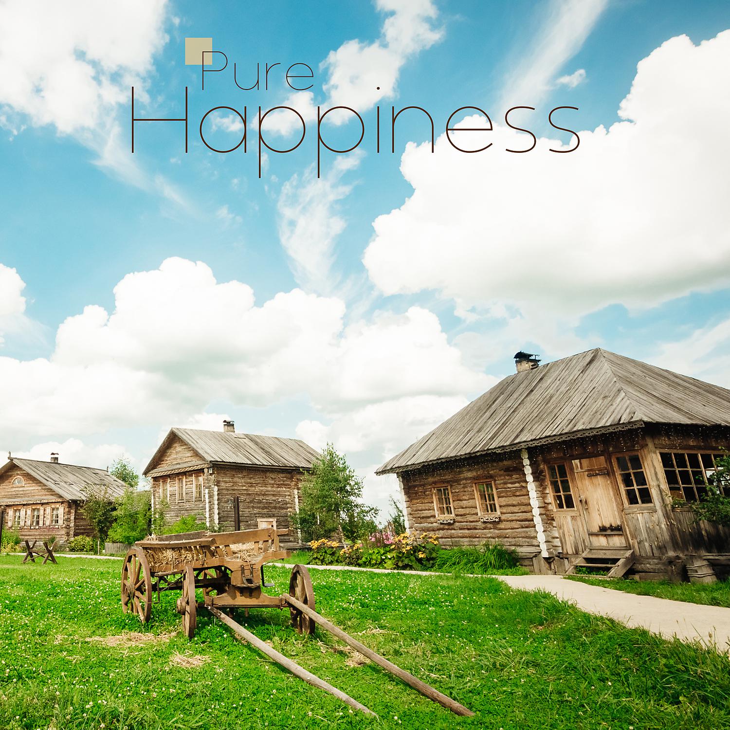 Постер альбома Pure Happiness
