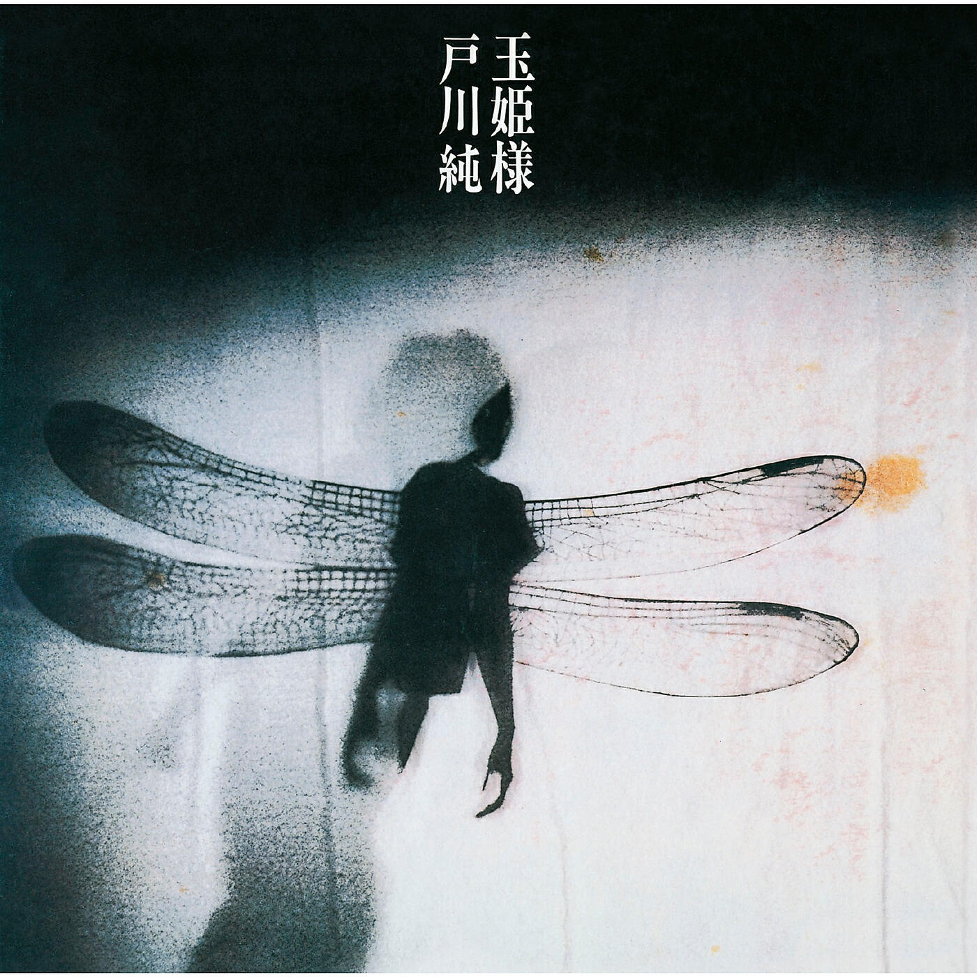 Альбом Tamahime Sama исполнителя Jun Togawa