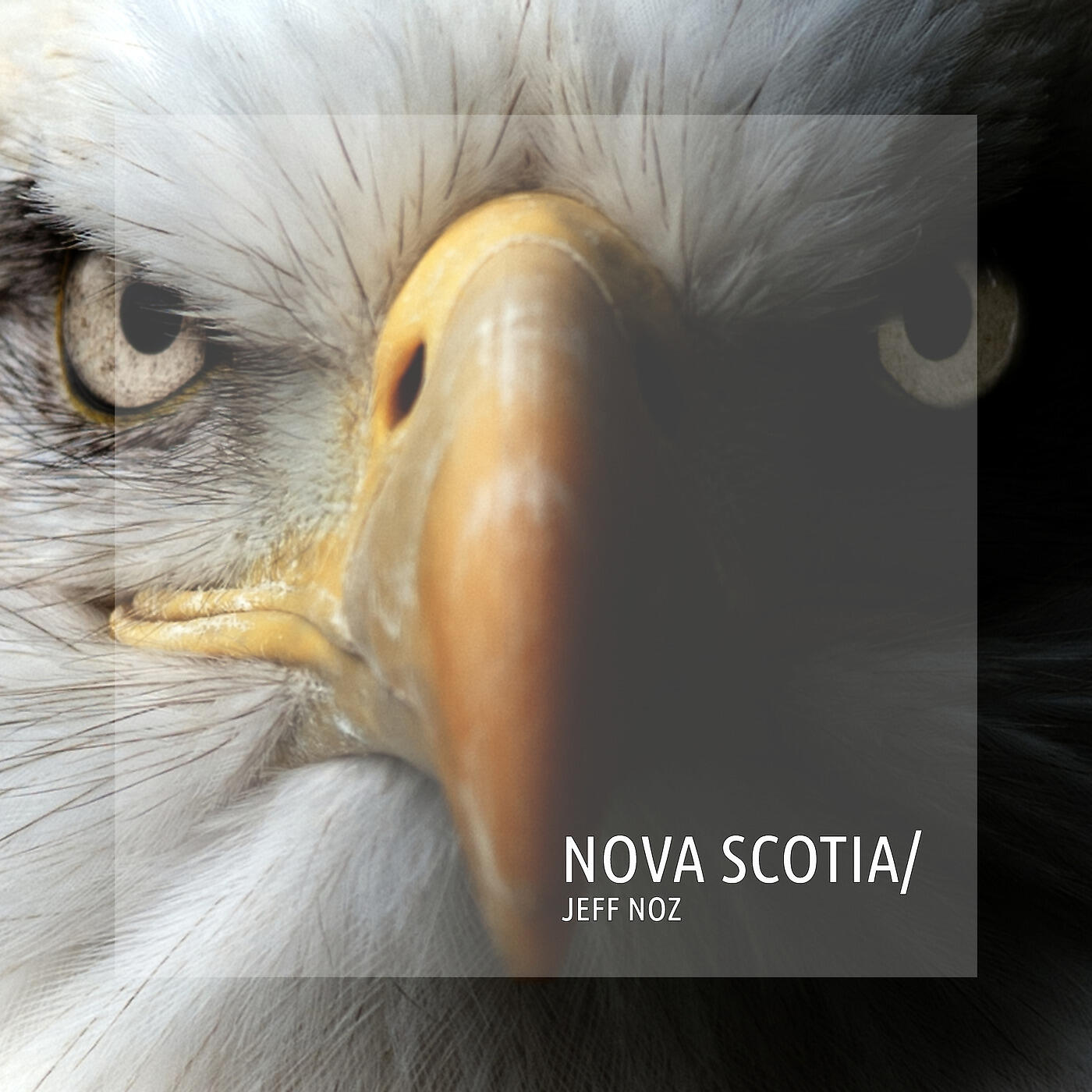 Jeff Noz - Nova Scotia