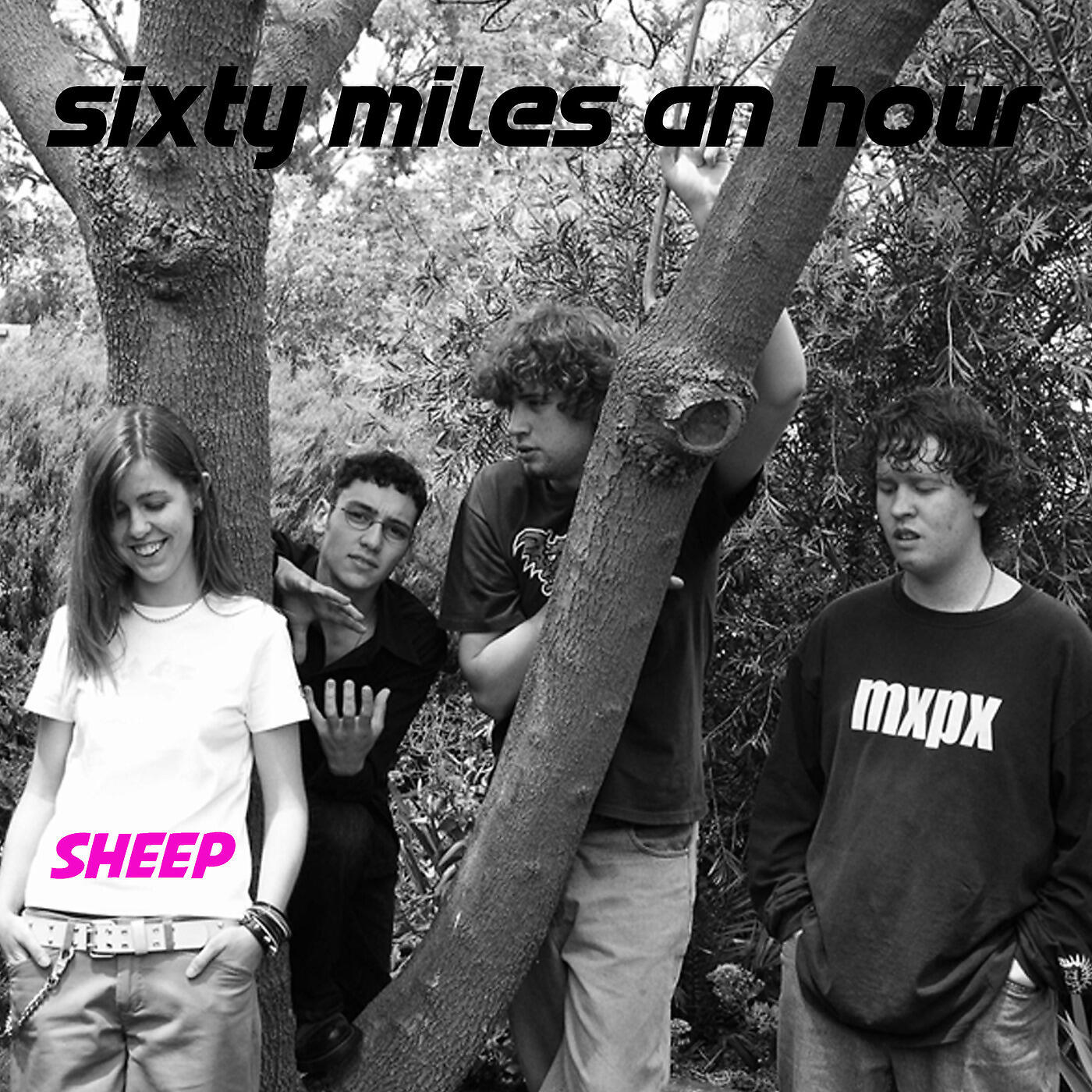 Sixty Miles An Hour - Sheep