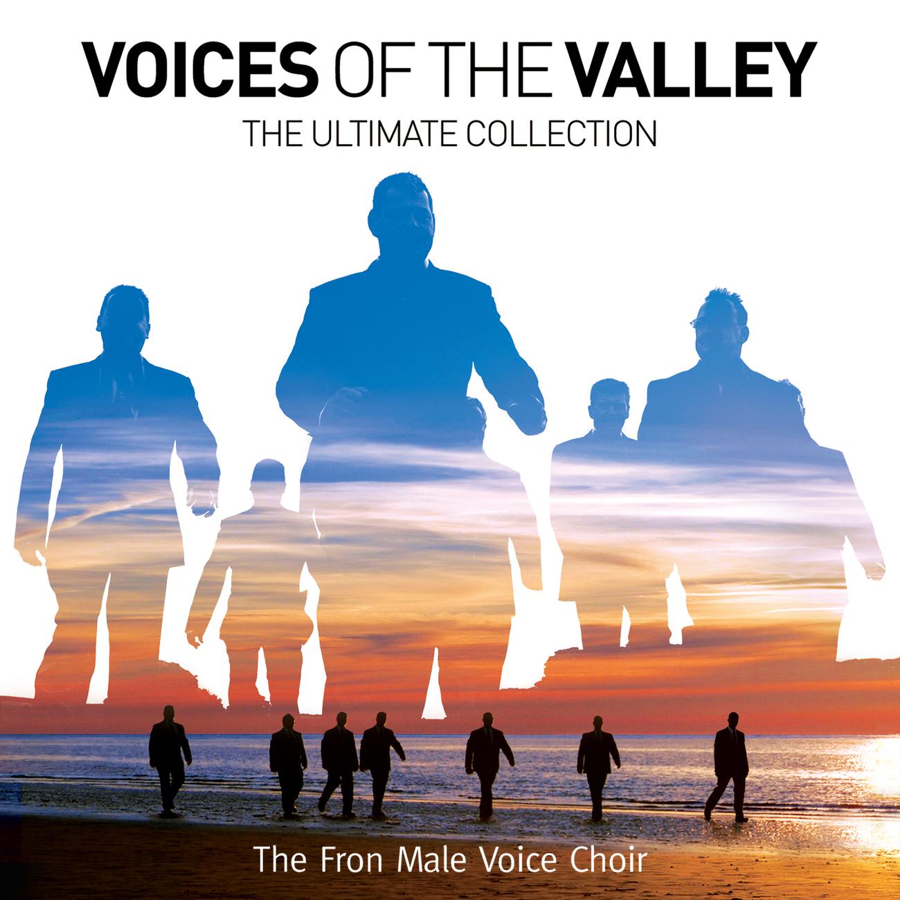Постер альбома Voices Of The Valley: The Ultimate Collection (Standard CD)