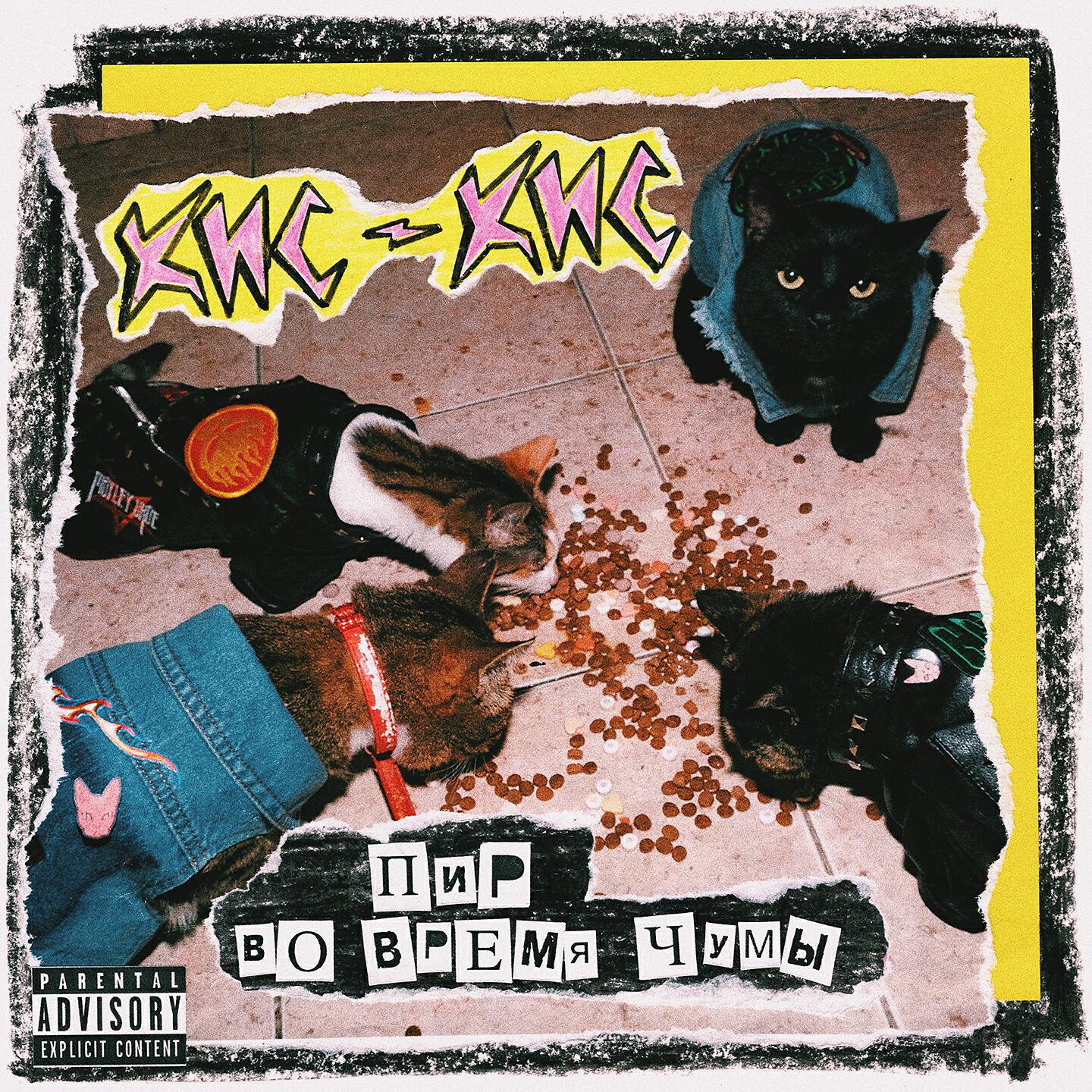 группа кис кис 2020. кис кис логотип. бесплатная песня кис кис. бесплатная песня кис кис. бесплатная песня кис кис.