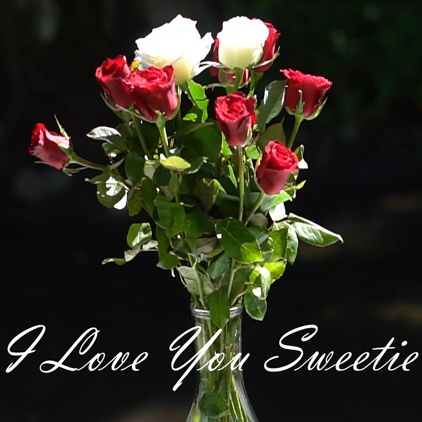 Benjamin R. King - I Love You Sweetie