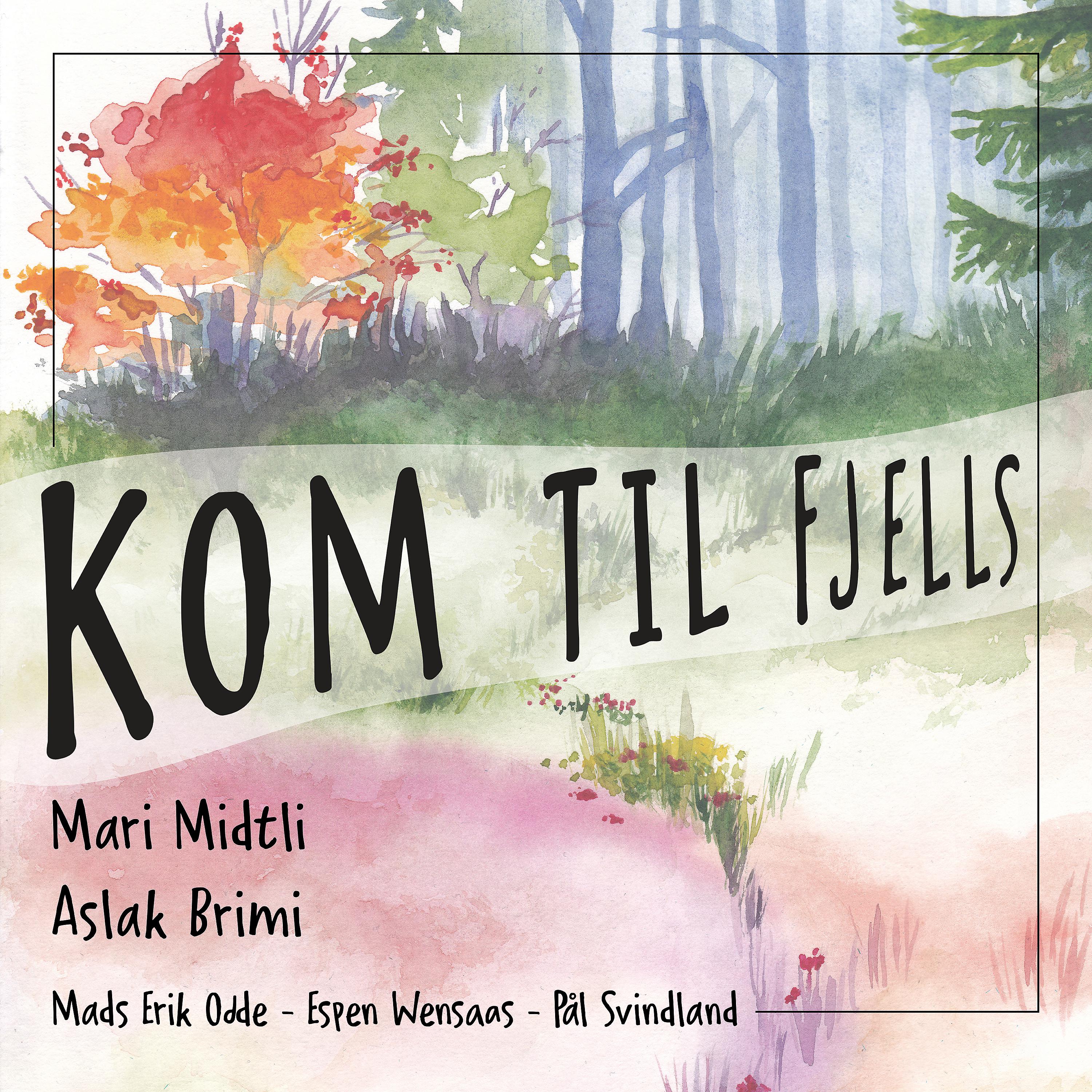 Постер альбома Kom til fjells