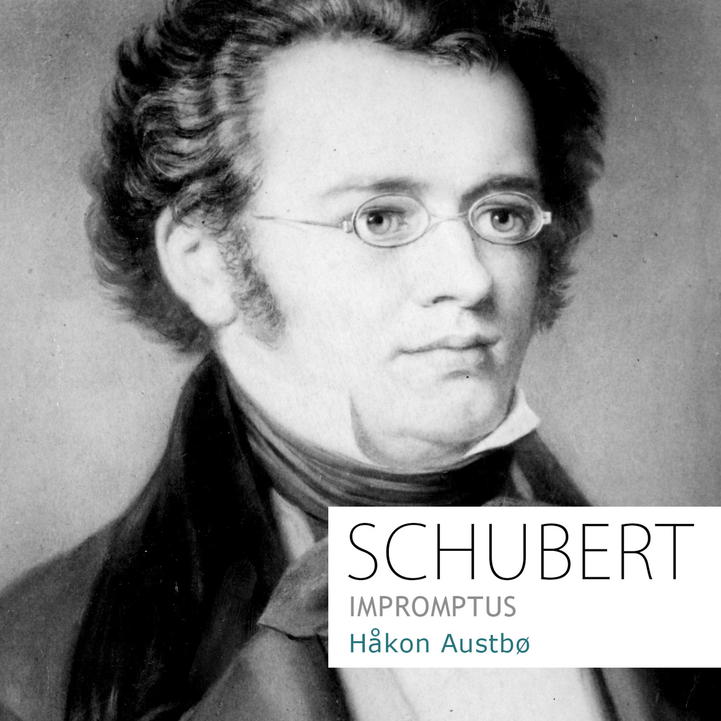Постер альбома Schubert: Impromptus