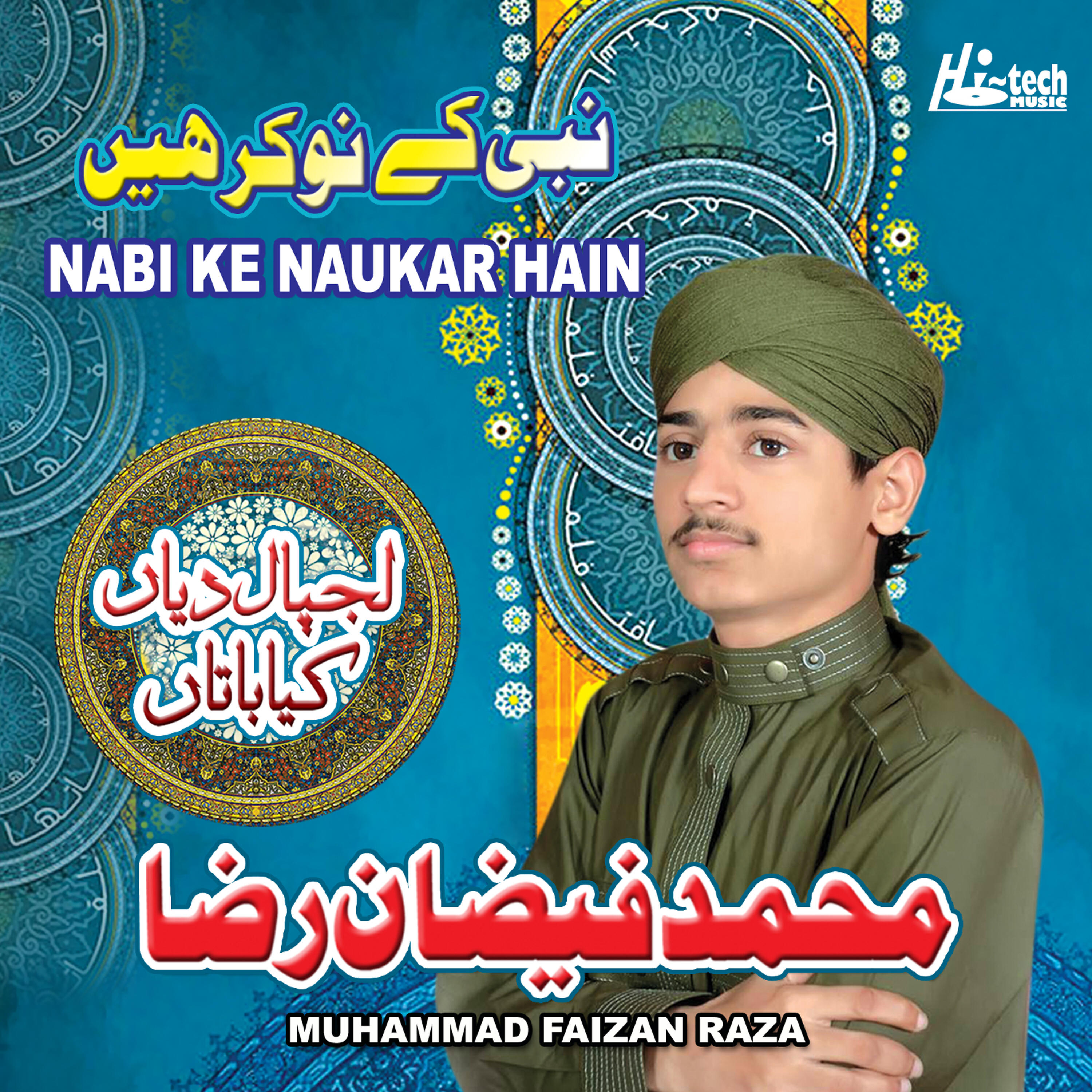 Muhammad Faizan Raza - Sarkar Aa Rehe Hain