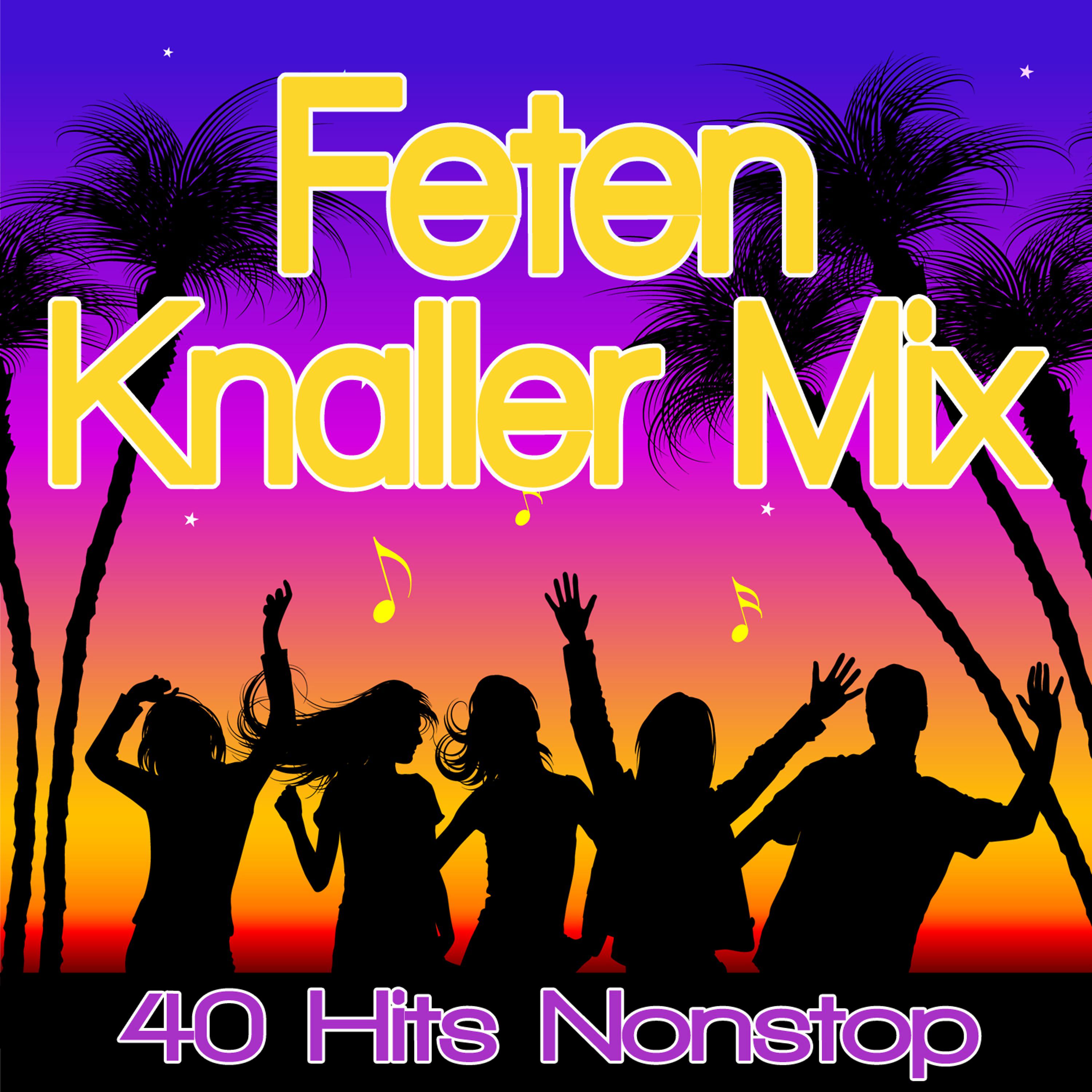 Постер альбома Feten Knaller MIX - 45 Hits Nonstop