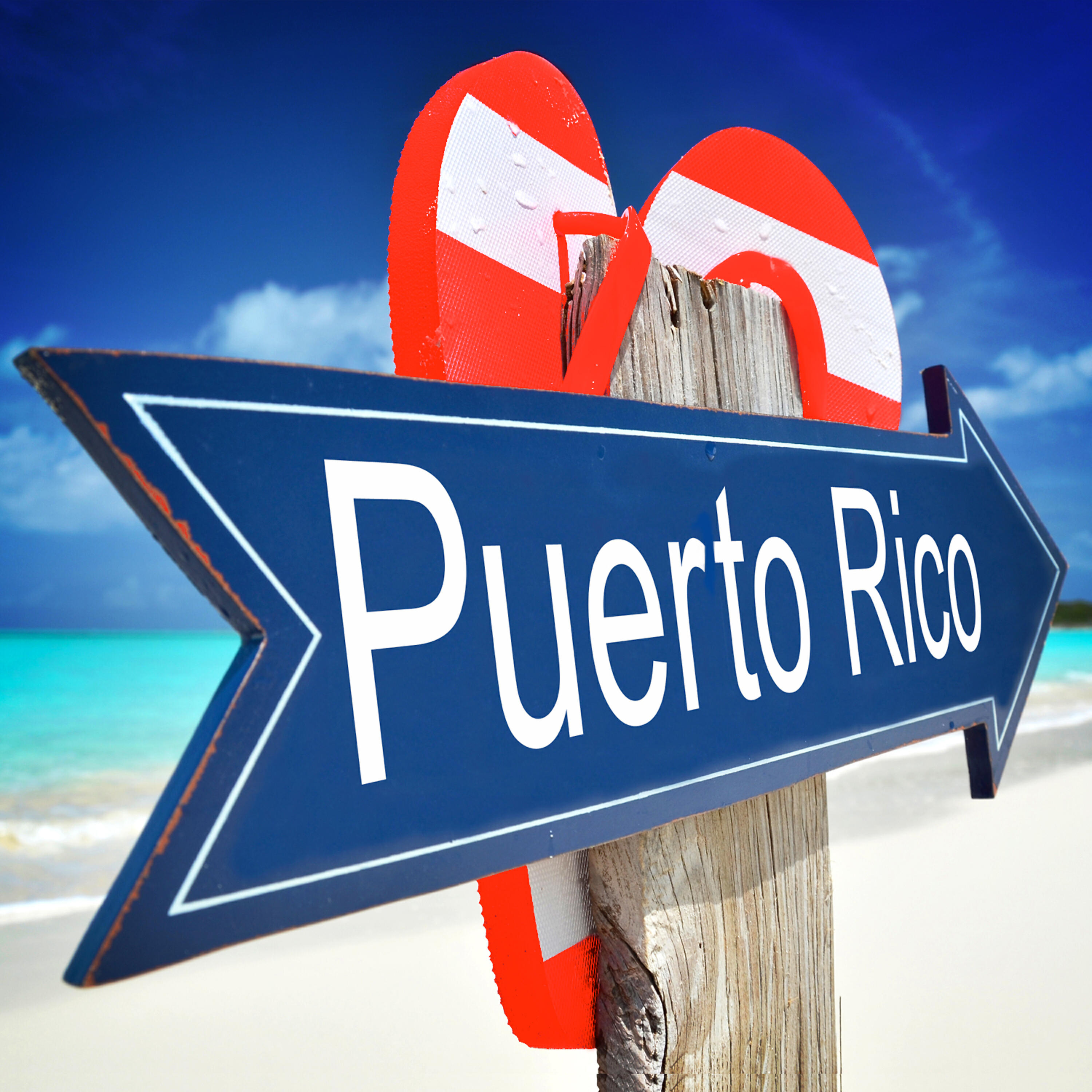 Noches en Puerto Rico - El Alacran