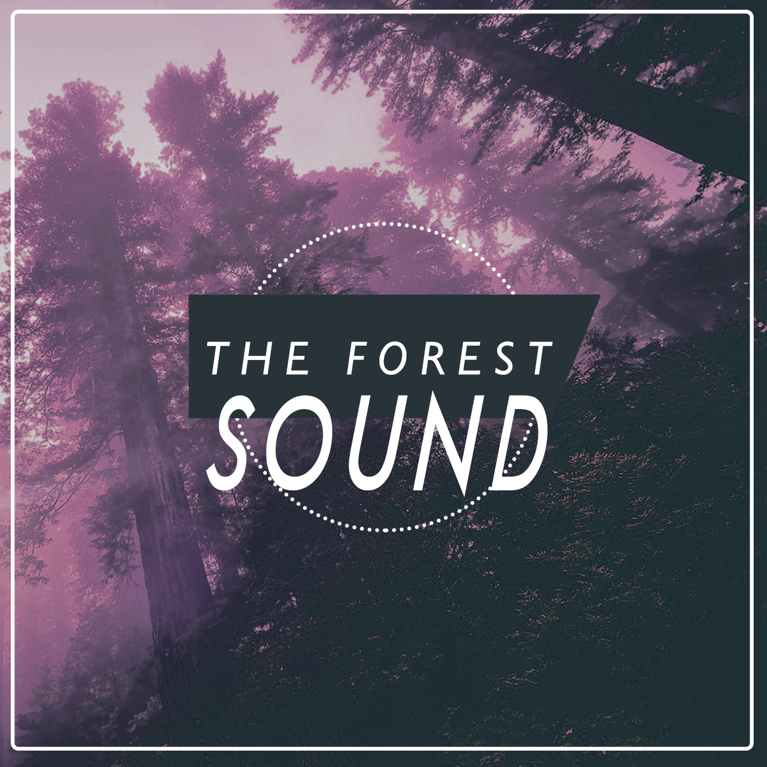 Sounds of the Forest. Forest песня. Келвин лайк Sound of the Forest. Song of the Forest.