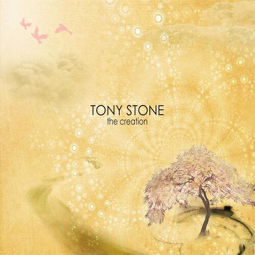 Tony Stone - D.I.C.E.