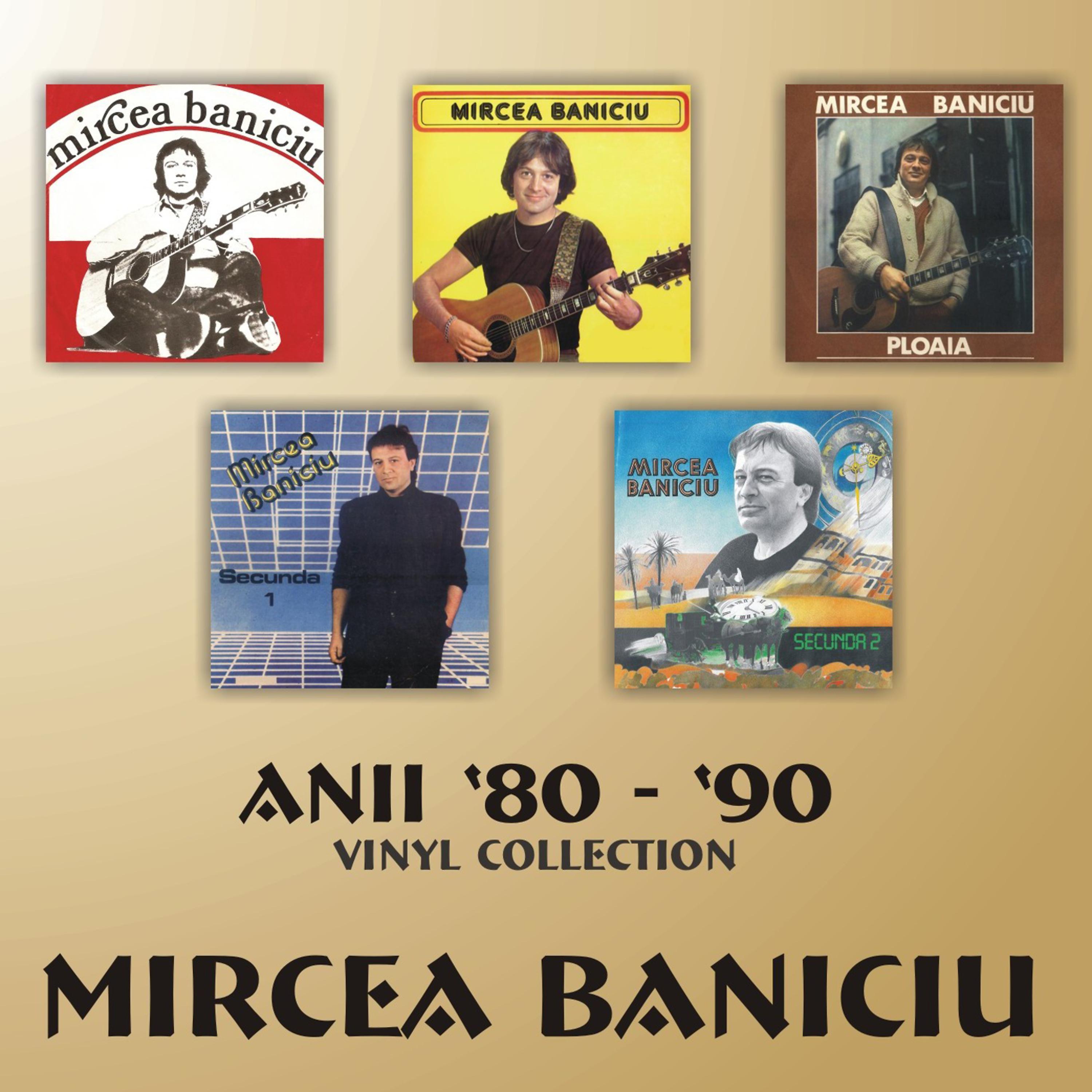 Постер альбома Anii 80-90 - Vinyl Collection ('80s -'90s - Vinyl Collection)