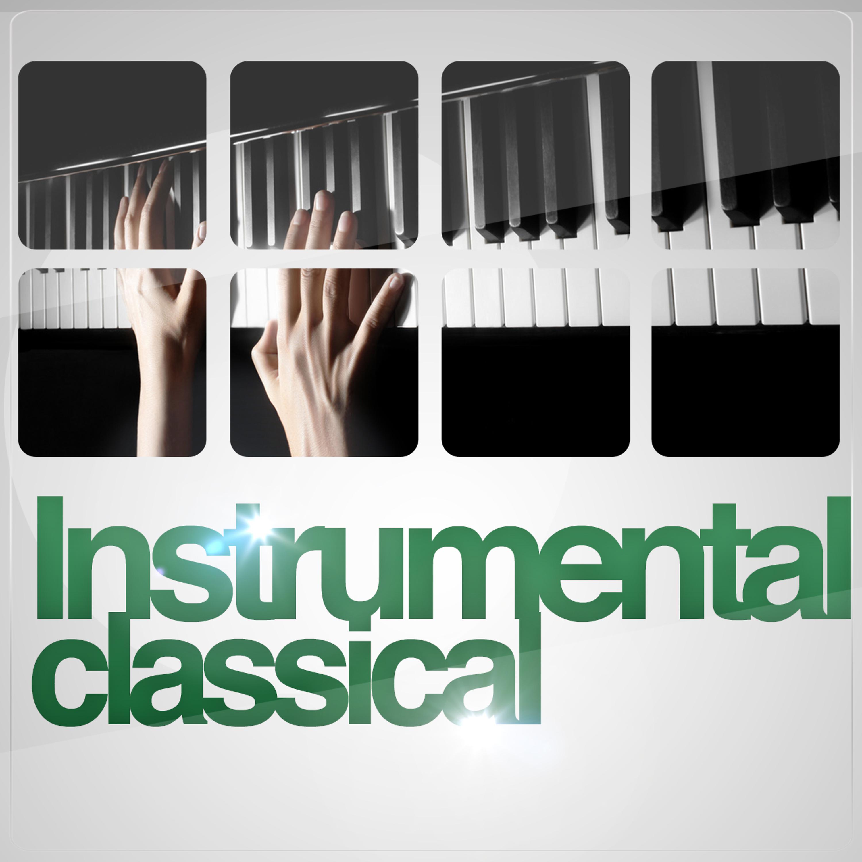 Постер альбома Instrumental Classical