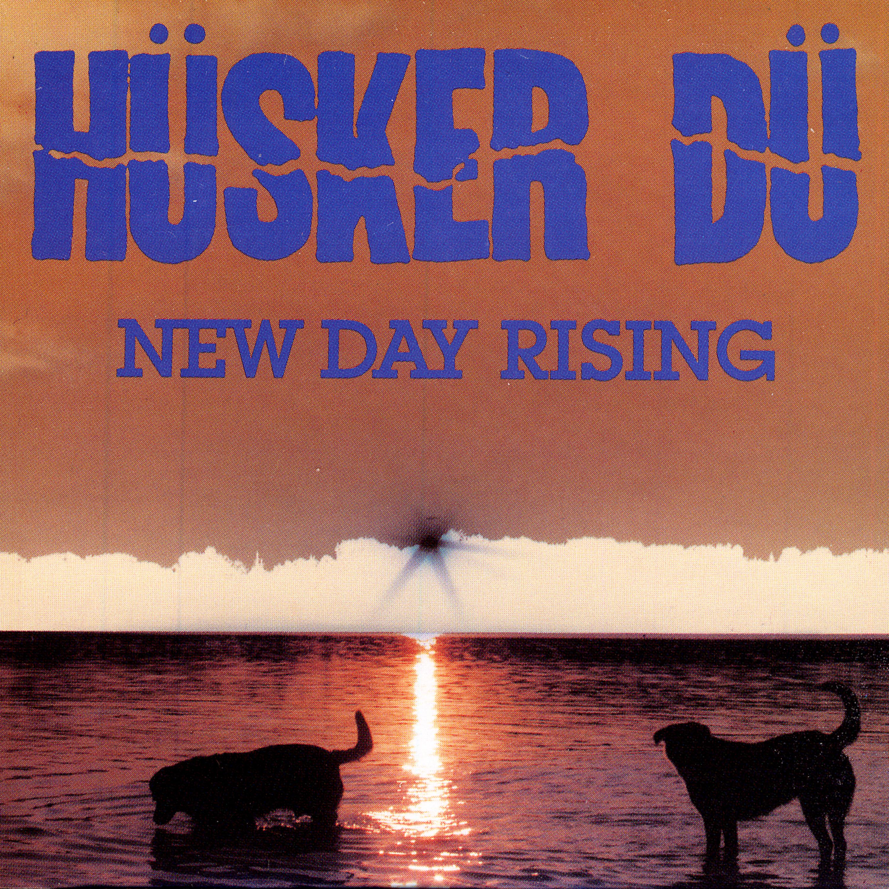 Постер альбома New Day Rising