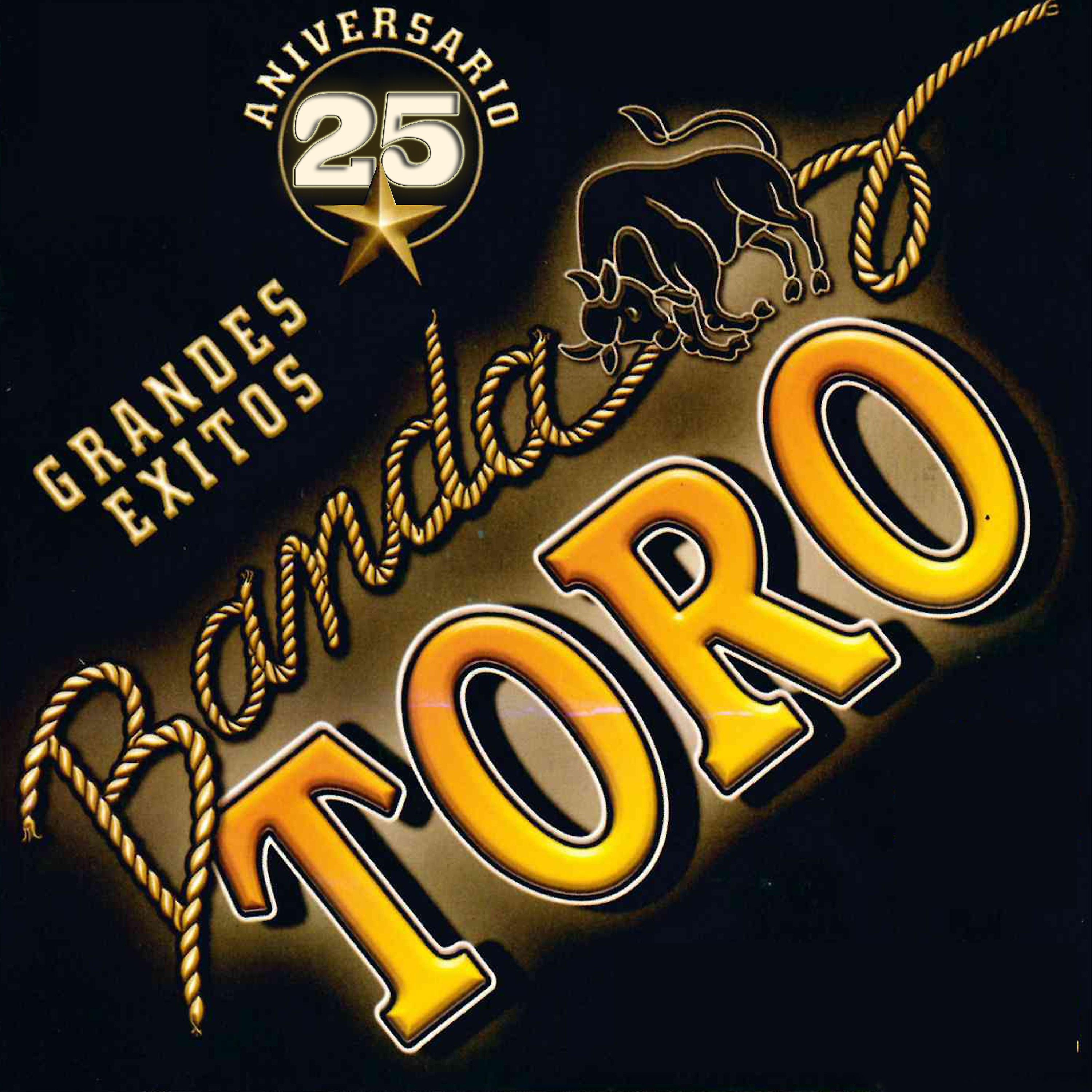 Постер альбома 25 Aniversario Grandes Exitos