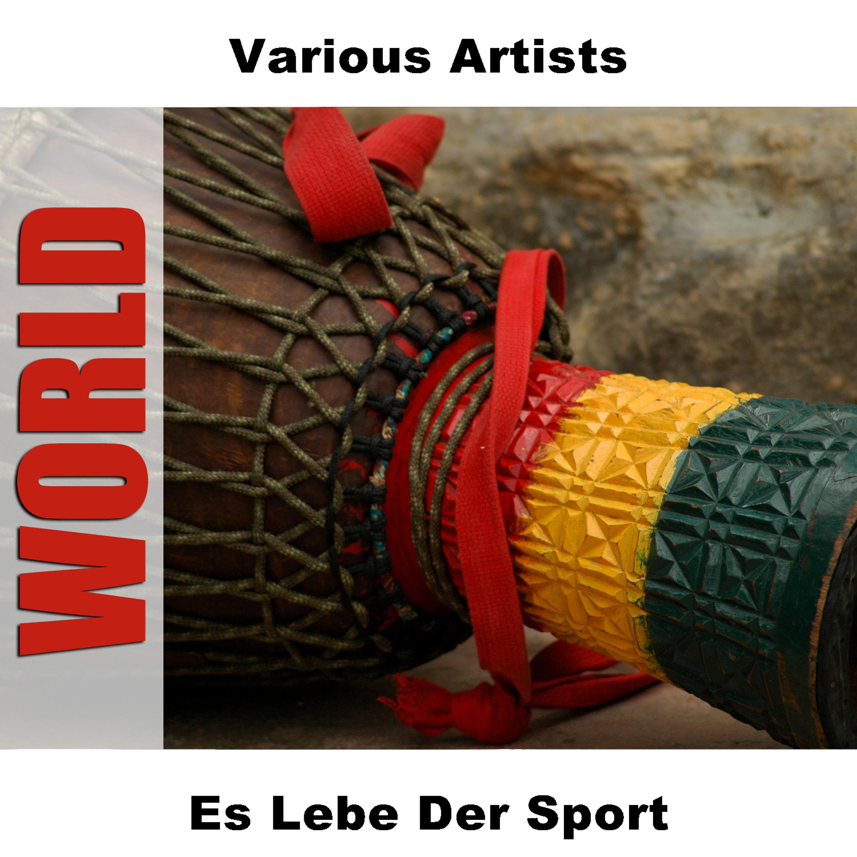 Постер альбома Es Lebe Der Sport